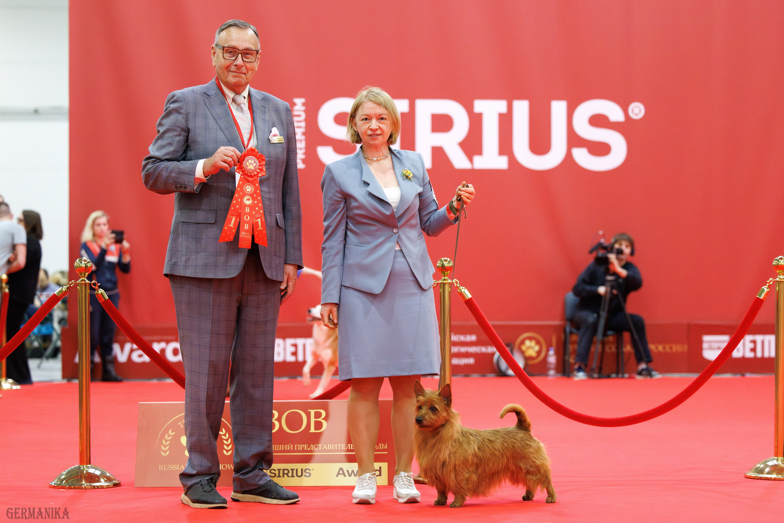Лучшие Собаки России 17-18.02.2024. Фотограф-анималист Юлия Германика