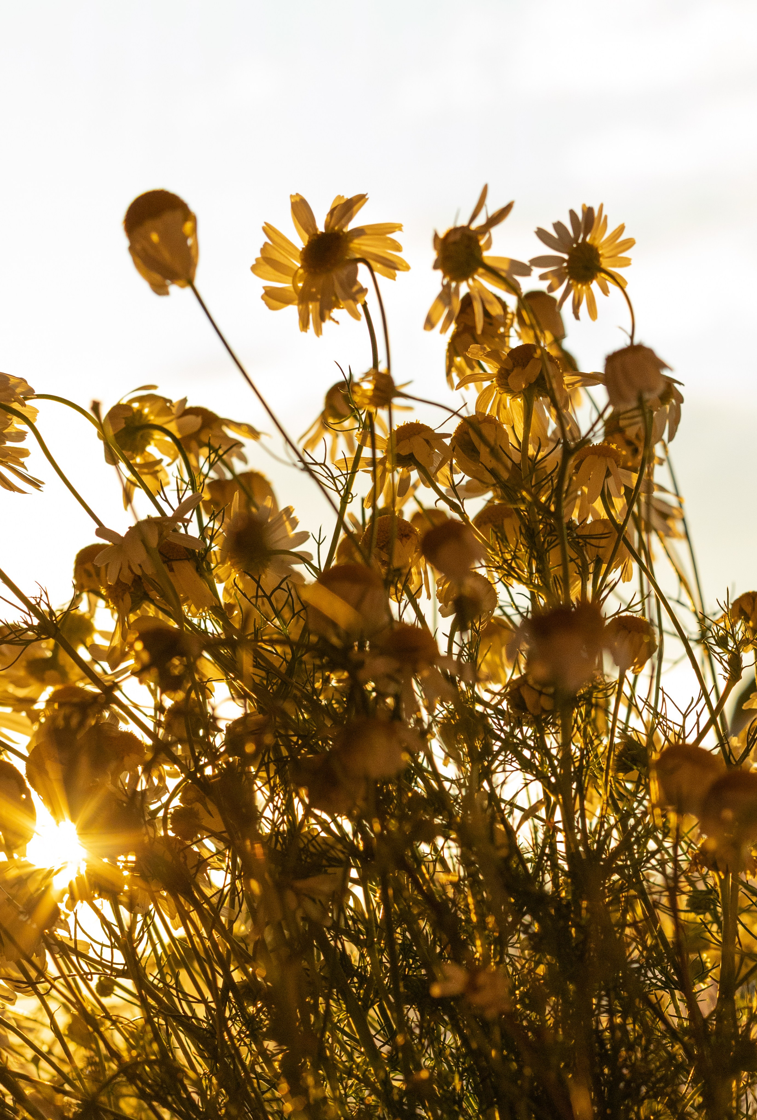 Евгений с семьей. Главная