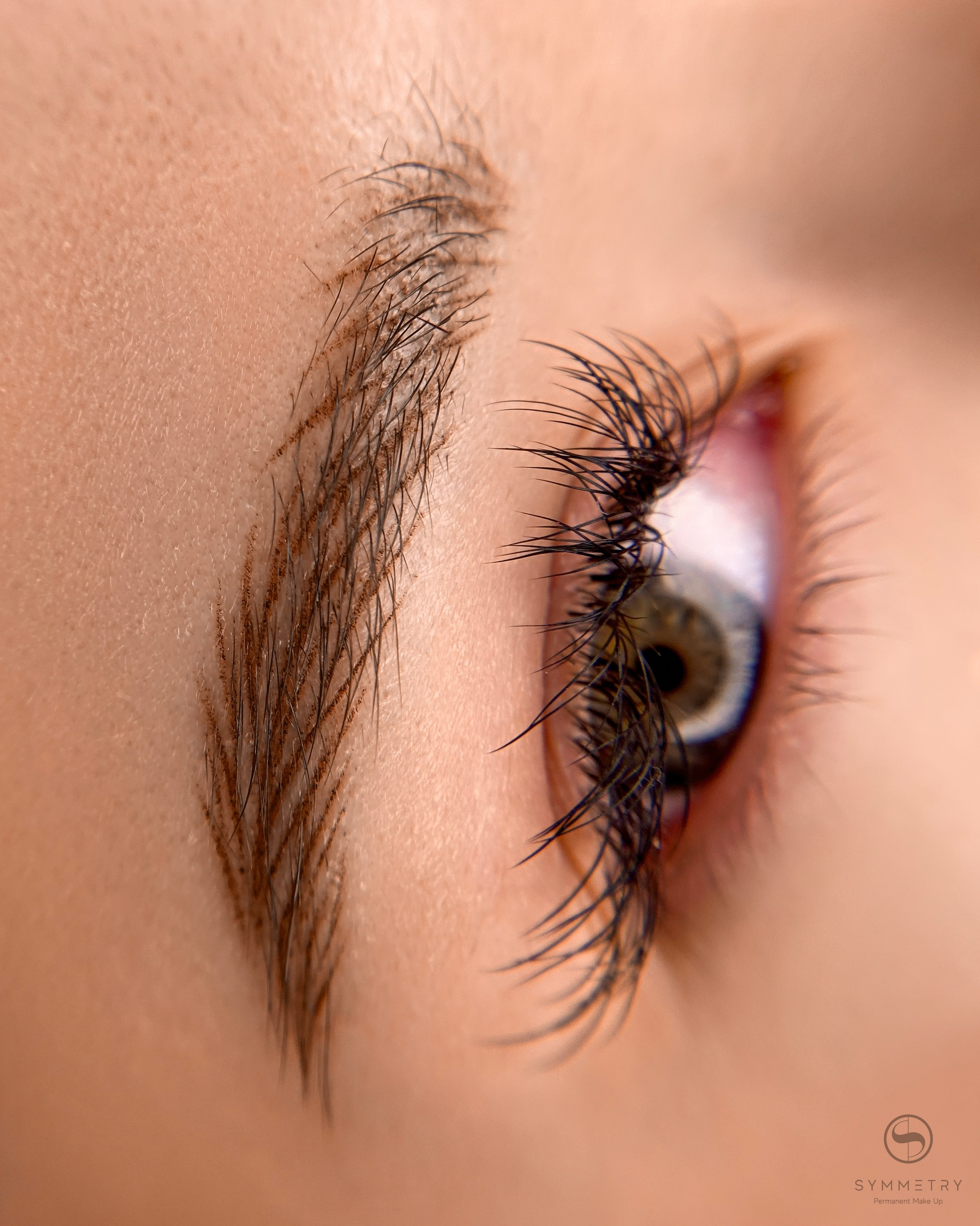 Перманентный макияж бровей, виды. Студия перманентного макияжа, косметологии и массажа SYMMETRY в Москве, м. Киевская
