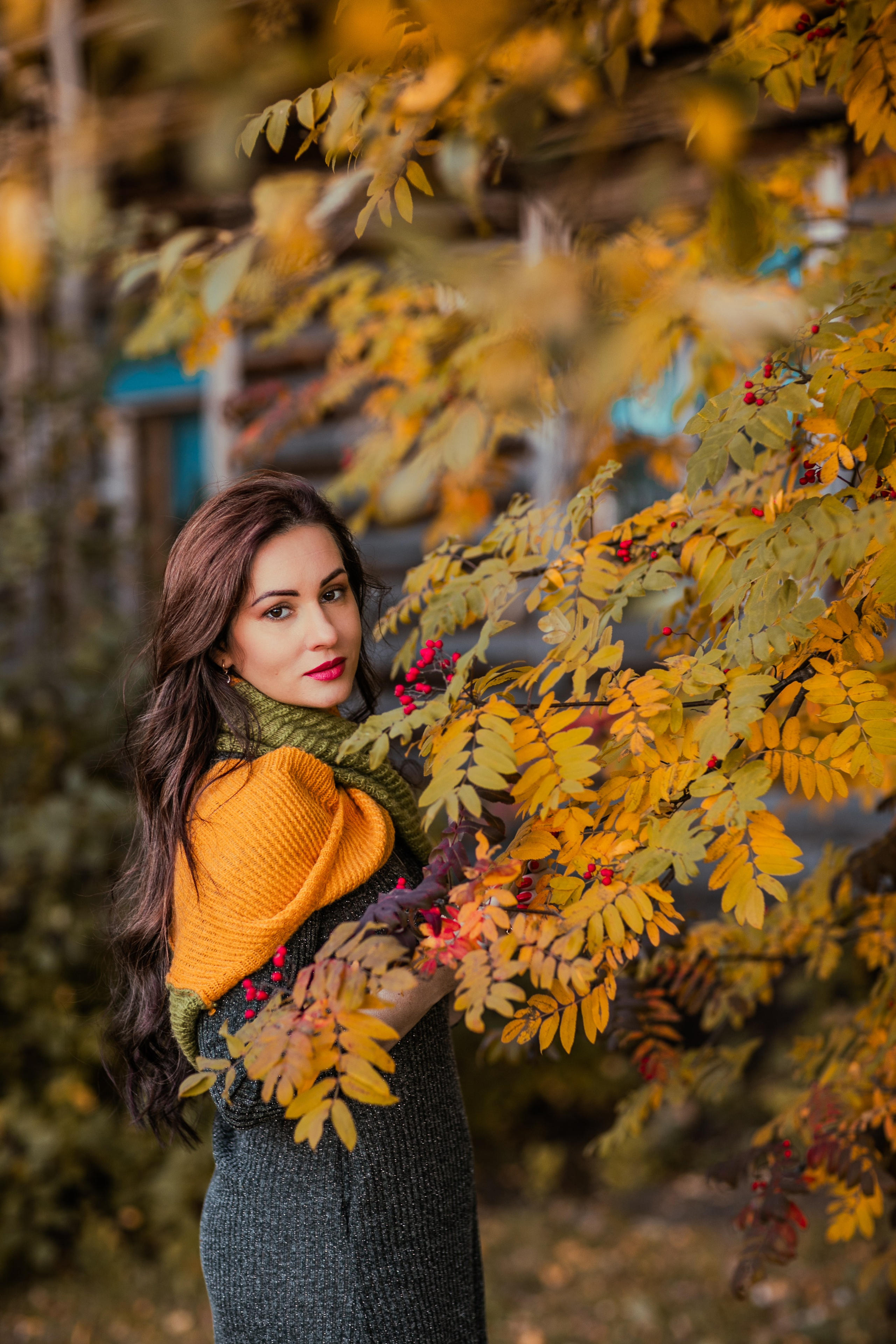 Багрец и золото. Фотограф Елена Вишневская (Ушакова) Нефтеюганск, Сургут, Тюмень