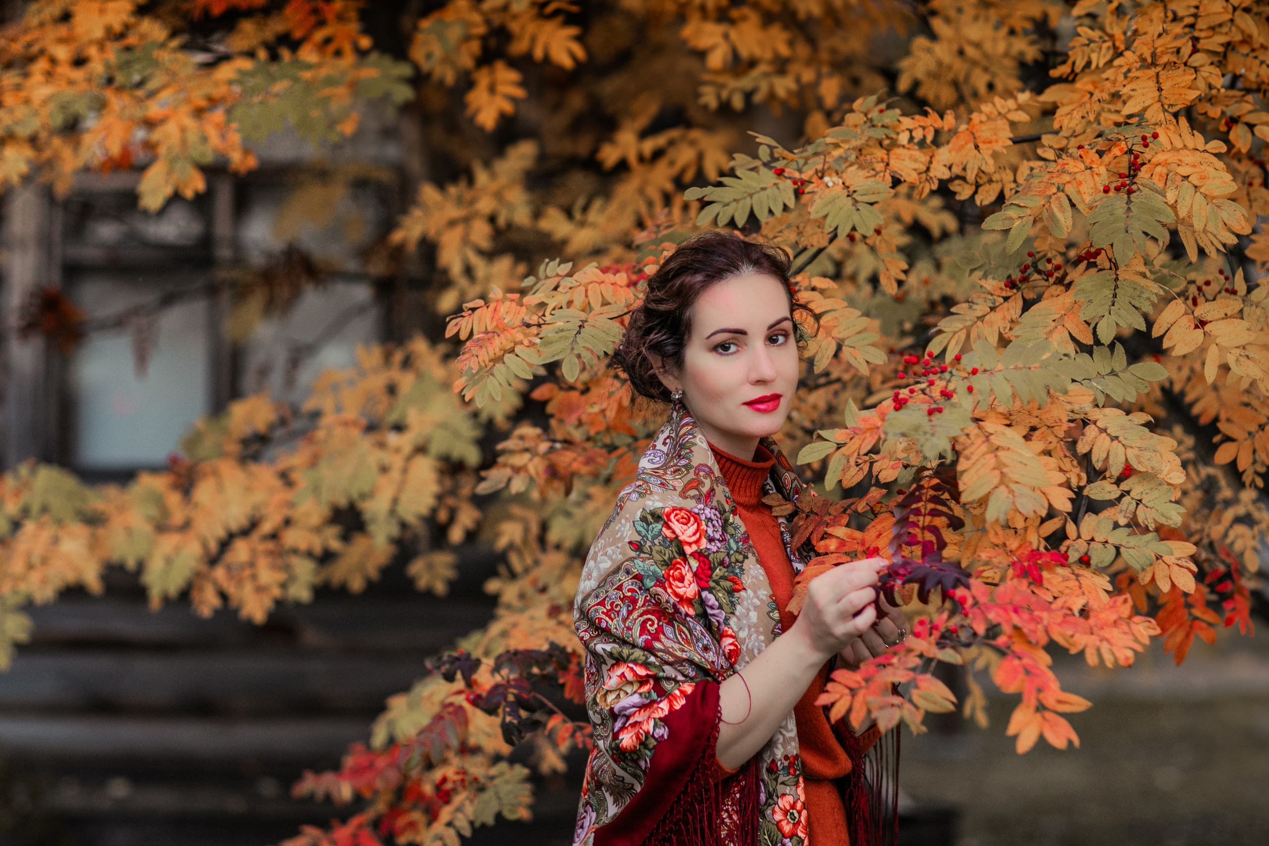 Очарование октября. Фотограф Елена Вишневская (Ушакова) Нефтеюганск, Сургут, Тюмень