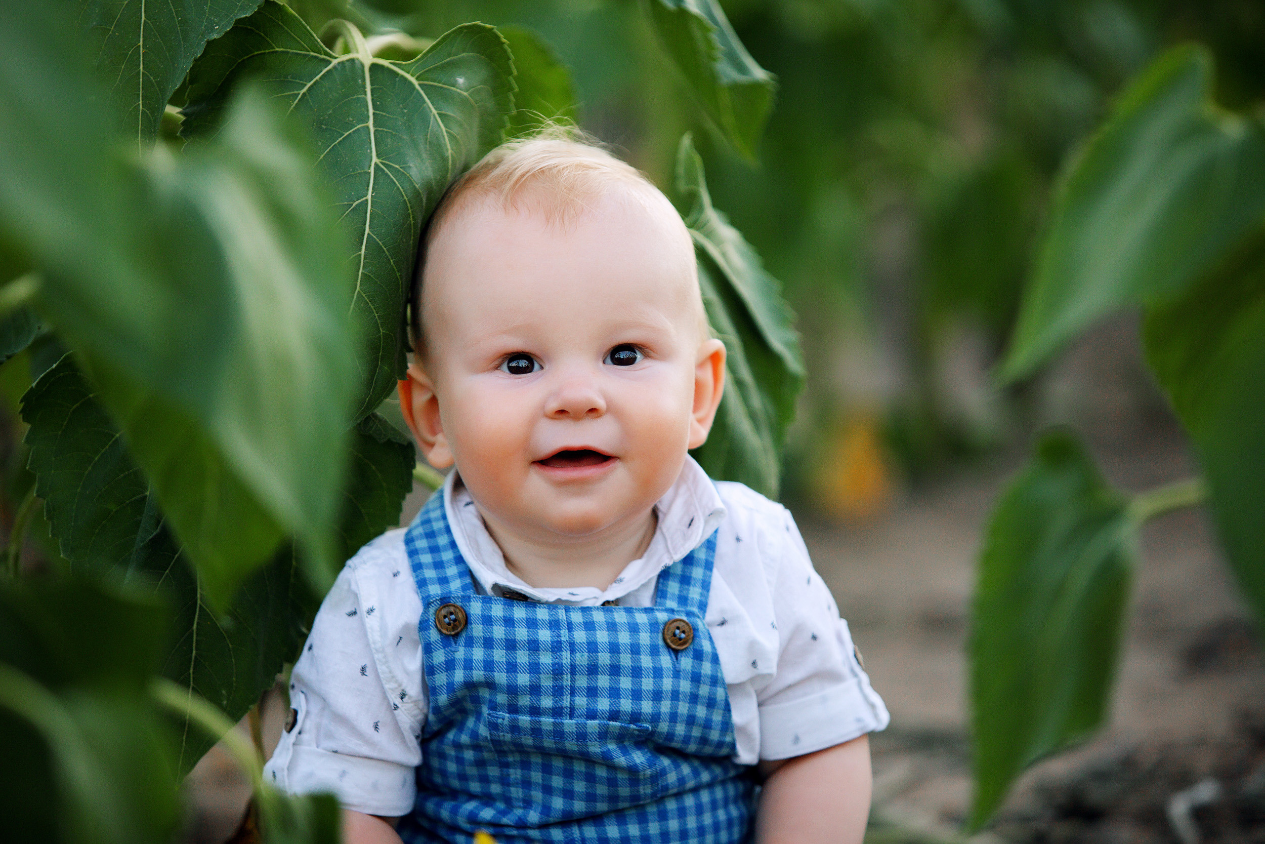 ПАШЕНЬКЕ год мини фотосессия. Фотограф новорожденных Оксана Полевская