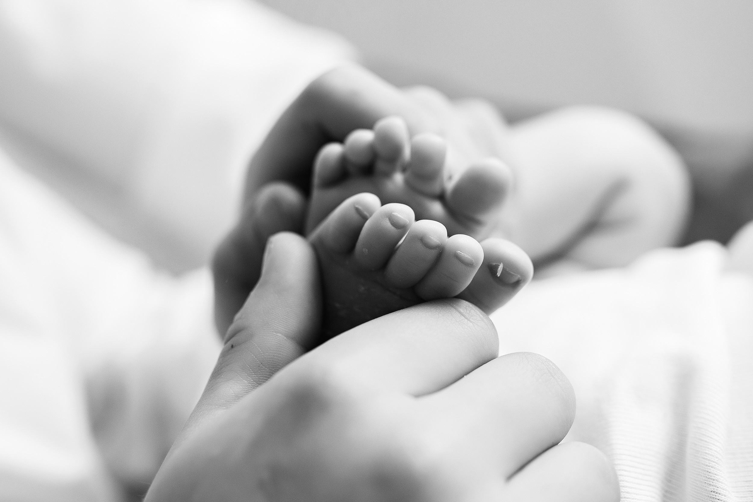 ДАНЯ 13 дней Life студия. Фотограф новорожденных Оксана Полевская