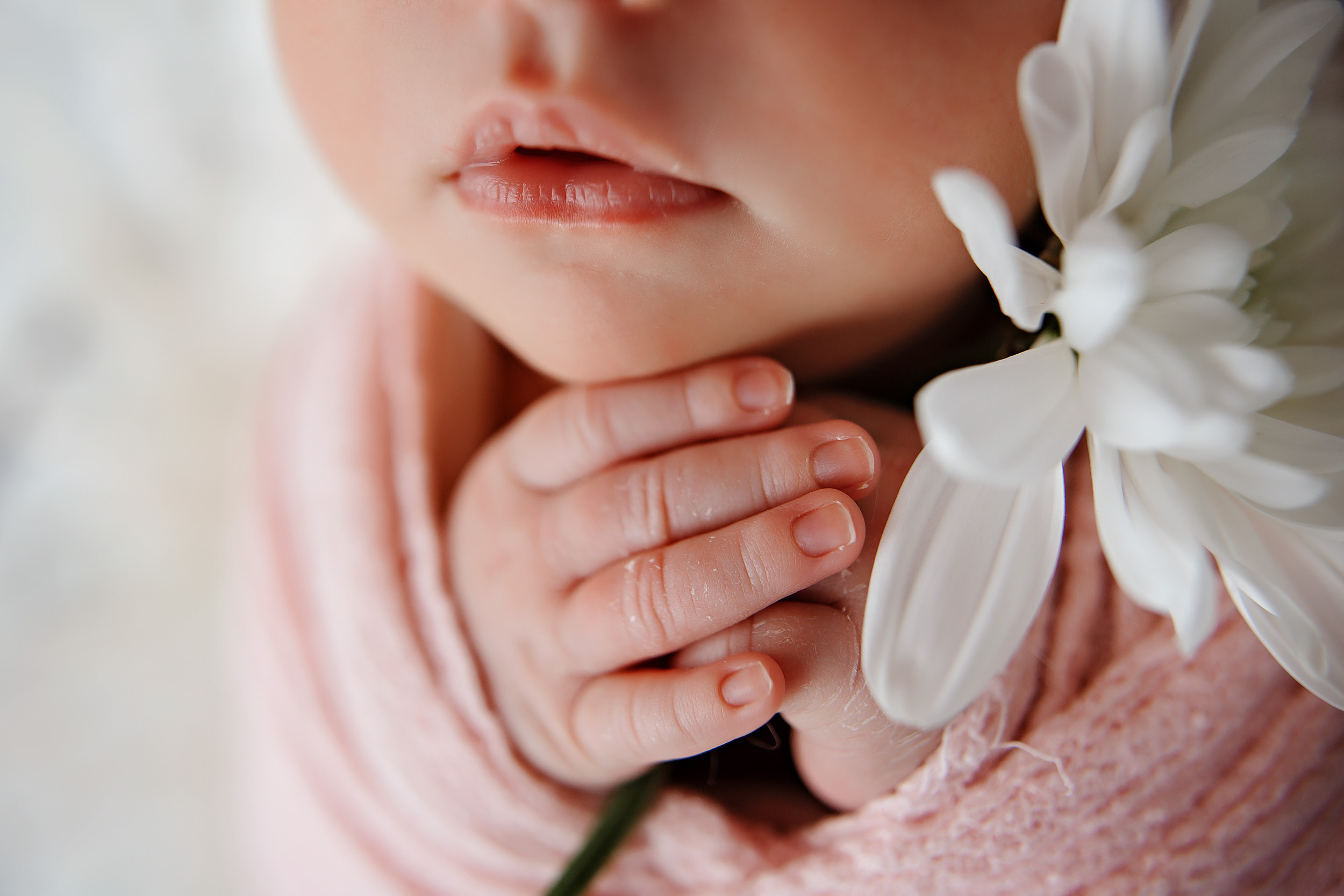 Фотосессия новорожденной Варвары. Фотограф новорожденных Оксана Полевская