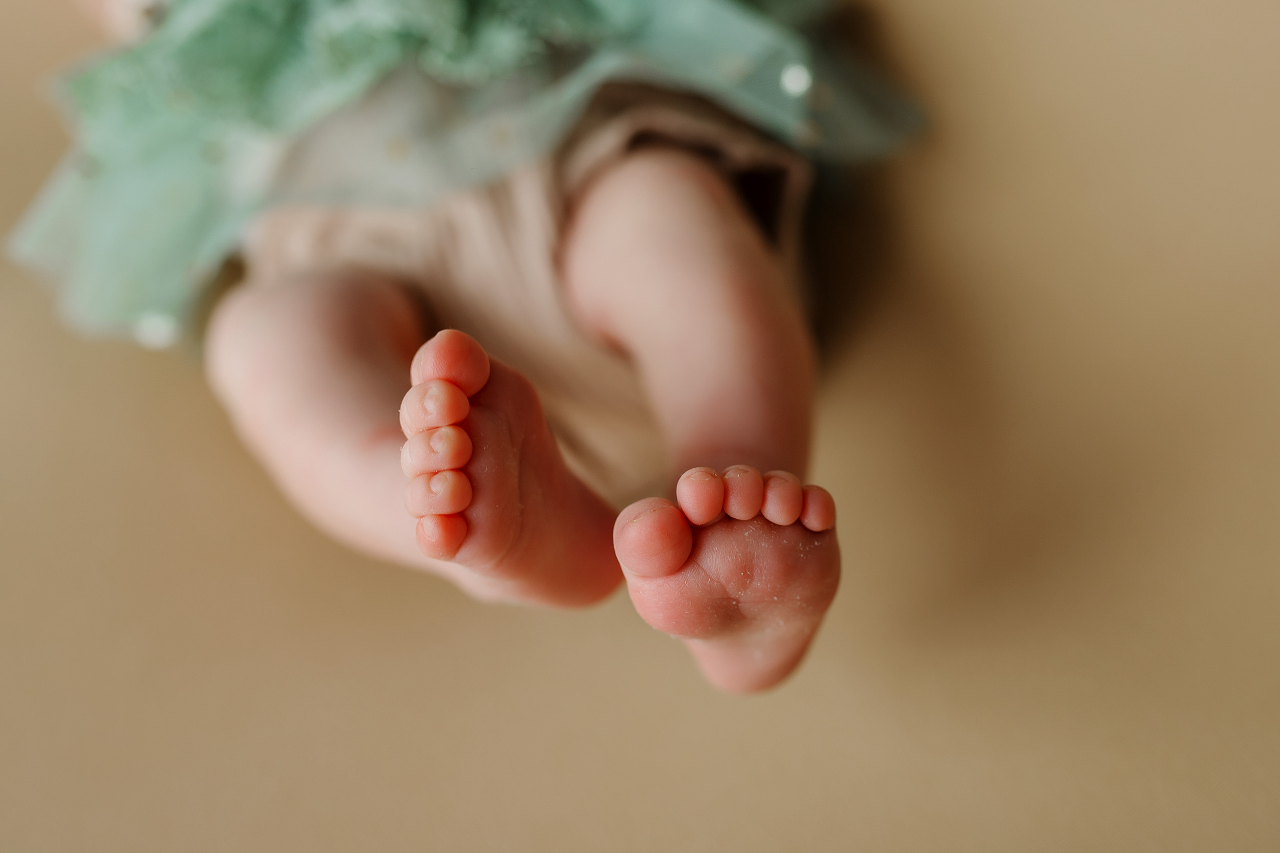 Фотосессия новорожденной Варвары. Фотограф новорожденных Оксана Полевская