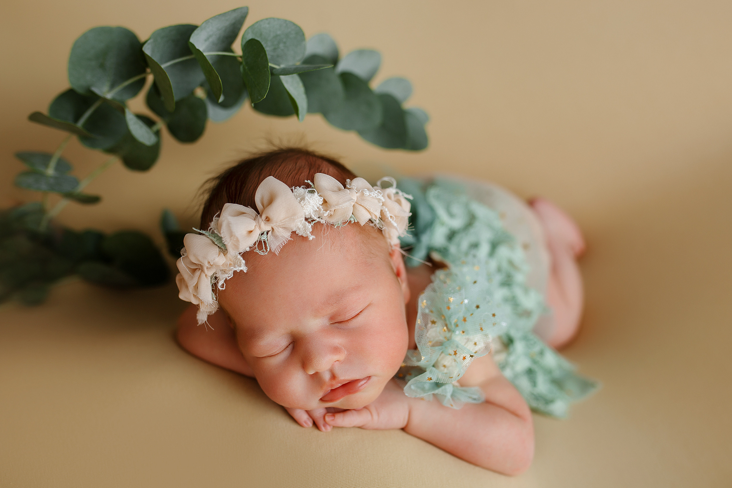 Фотосессия новорожденной Варвары. Фотограф новорожденных Оксана Полевская