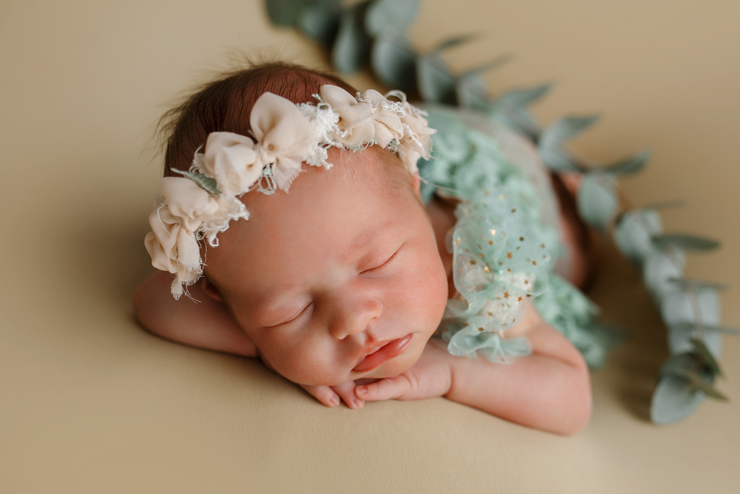 Фотосессия новорожденной Варвары. Фотограф новорожденных Оксана Полевская