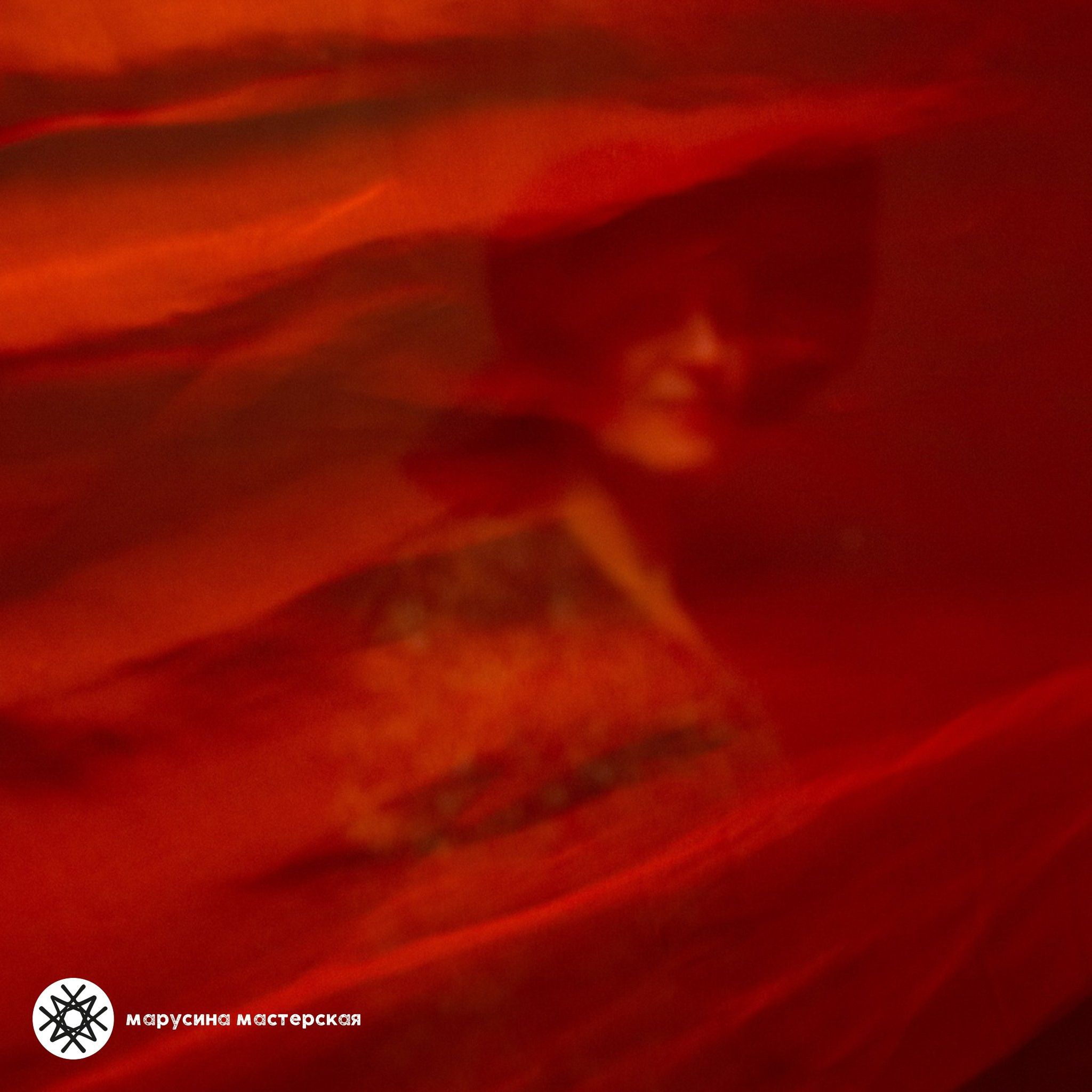 Лилия Сергеева