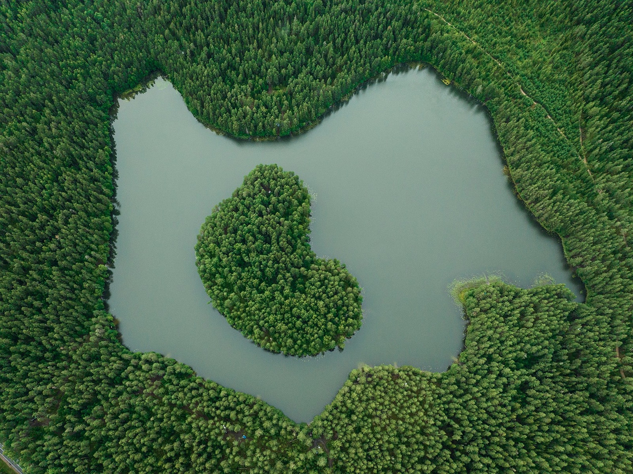 Карельский Перешеек. Фотограф Владимир Медведев