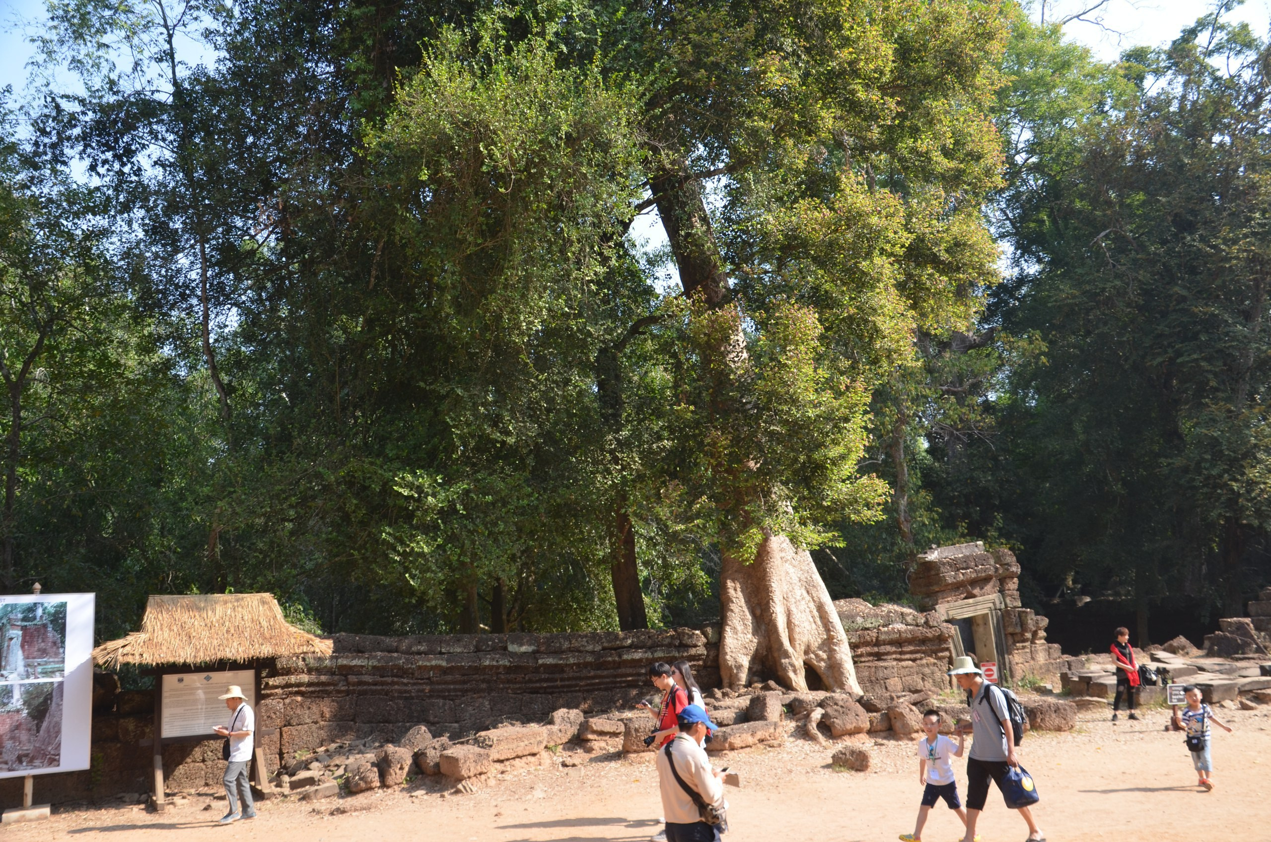 Таиланд |10-25.02.2018. Галерея Фантим