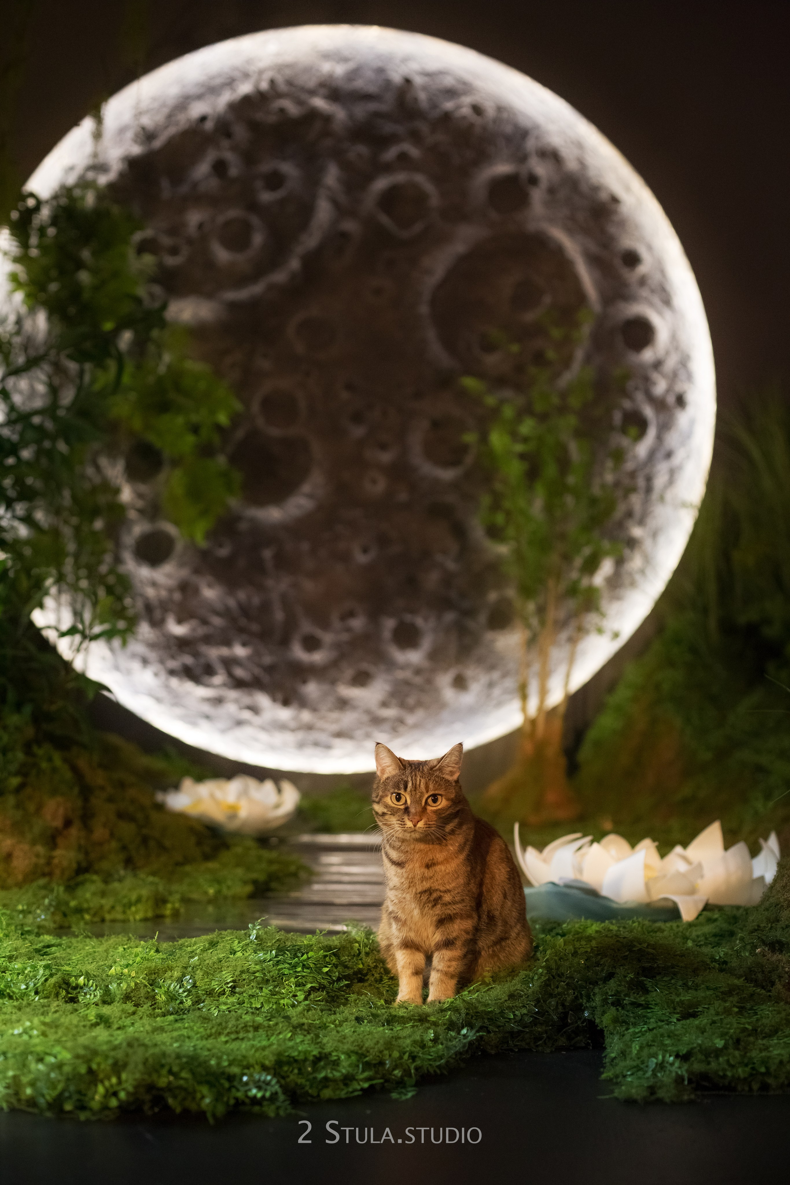 Фотостудия Алматы зал Moon. Фотостудия Алматы — 2 Stula.Studio | Аренда залов