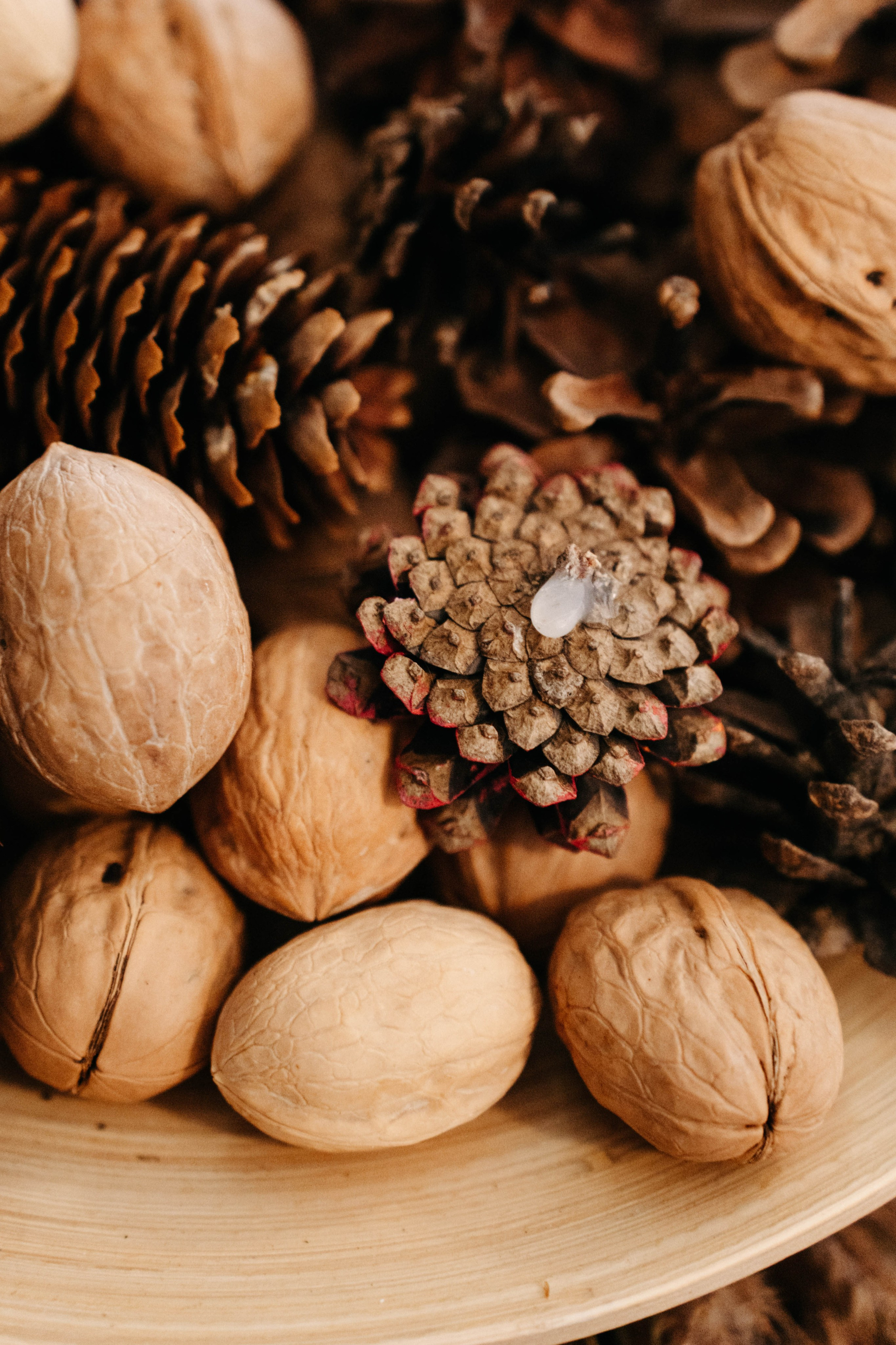 Междуречье|Экоотель. Фотограф Абакумова Анастасия