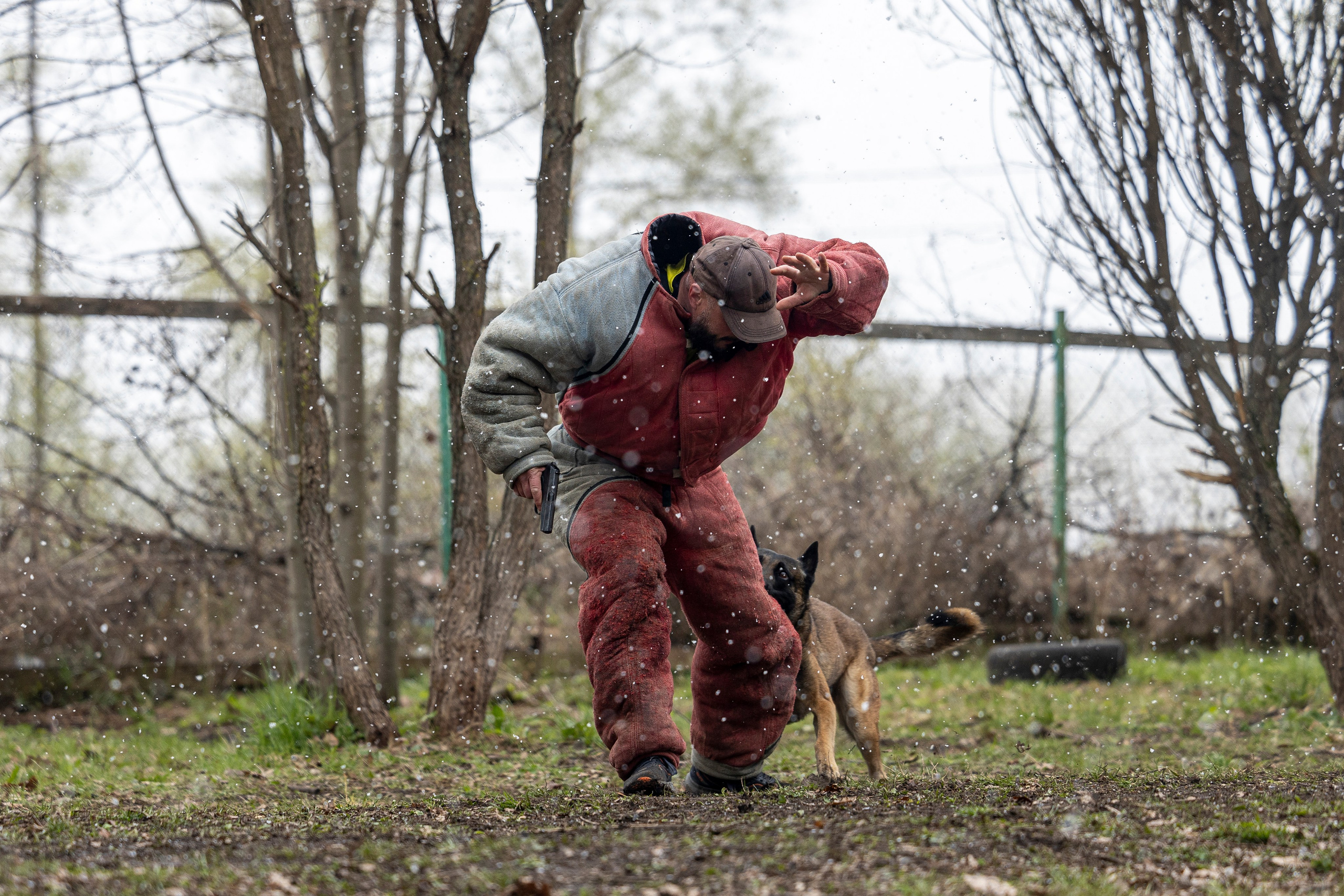 Квалификационные состязания по мондьорингу г. Вологда 11.05.24. Фотограф-анималист Анна Маринич