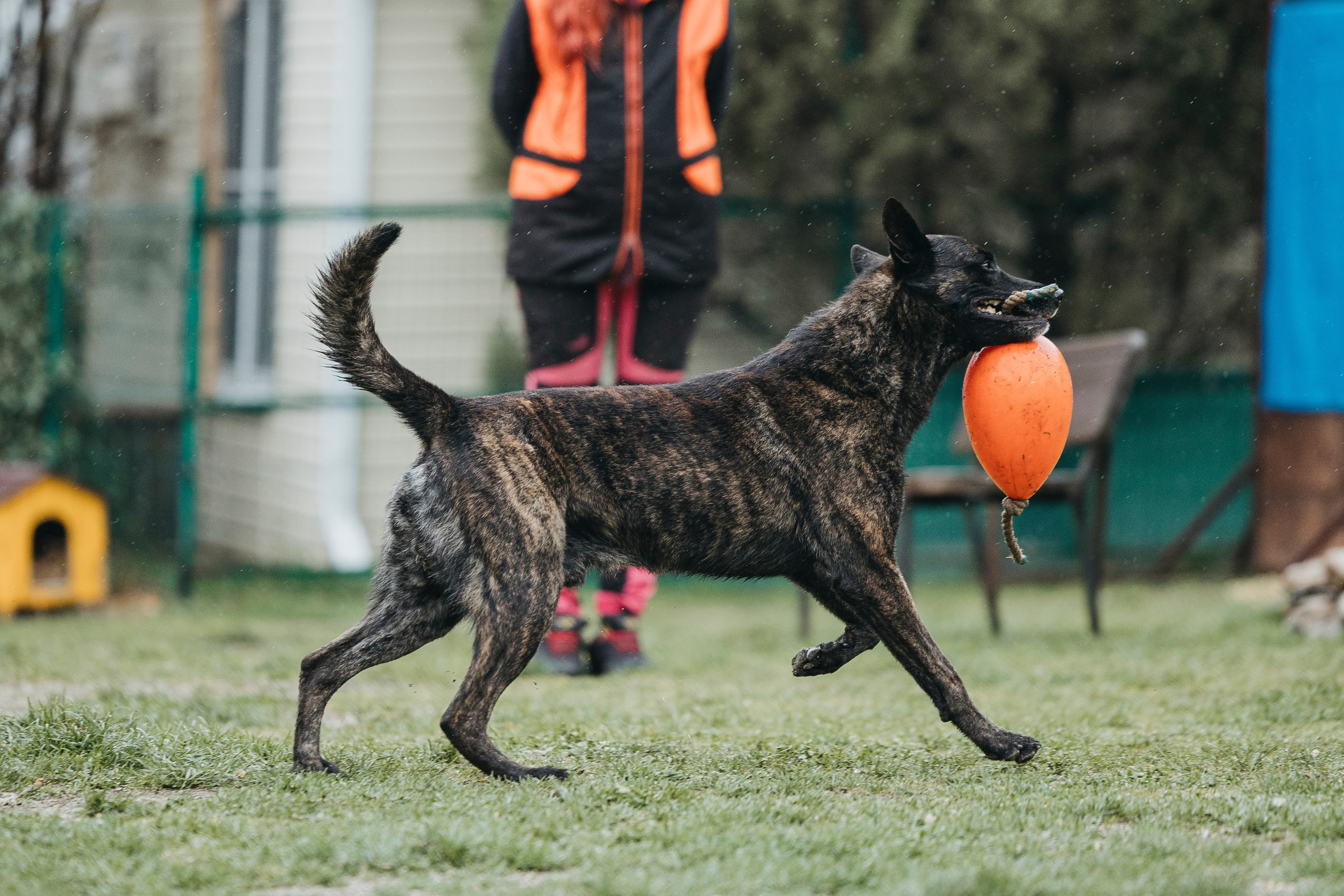 Геленджик Мондьоринг. Фотограф-анималист Анна Маринич