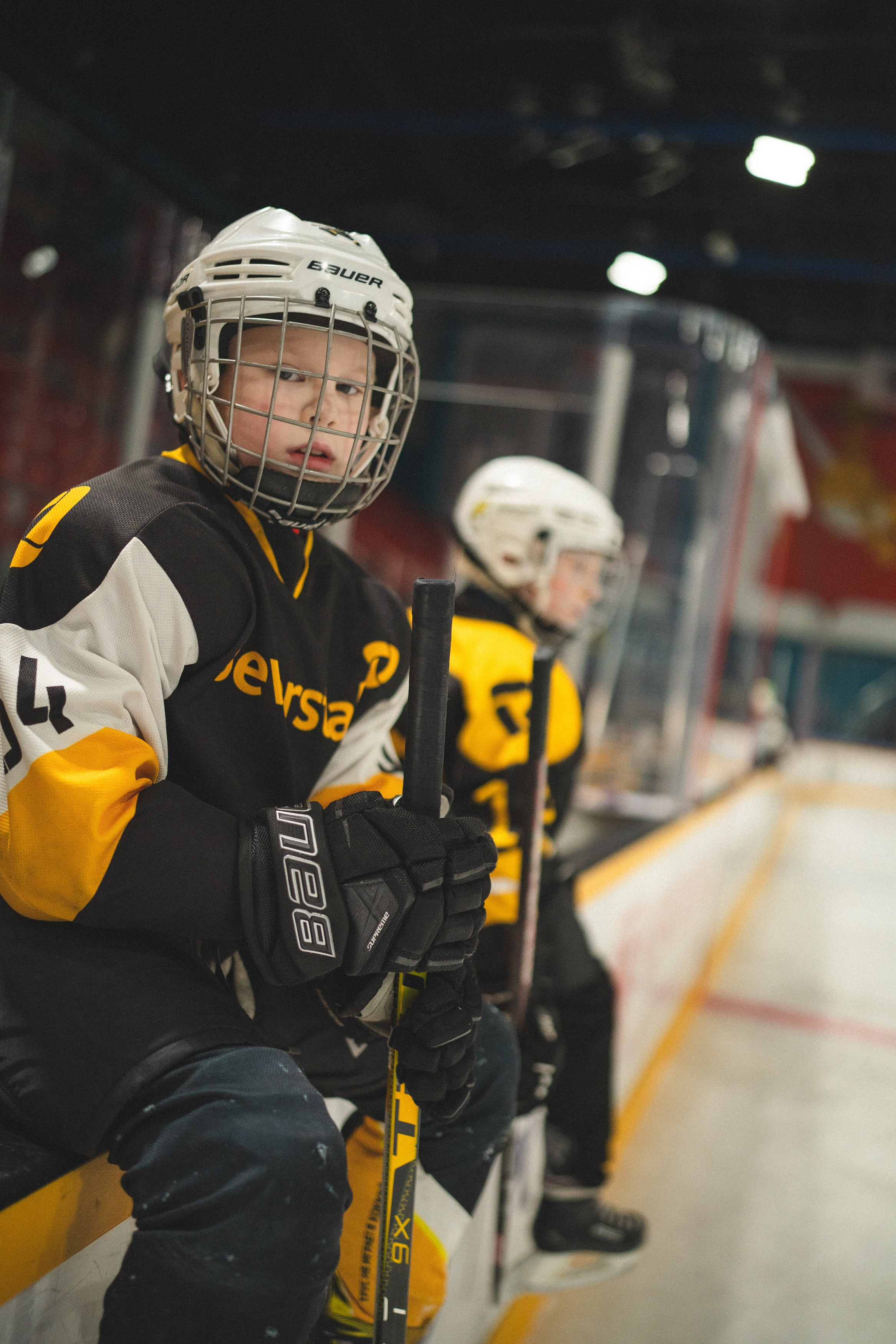 ХК Северсталь (младшая группа). Череповец. Zekons. Фото, видео, нейросети