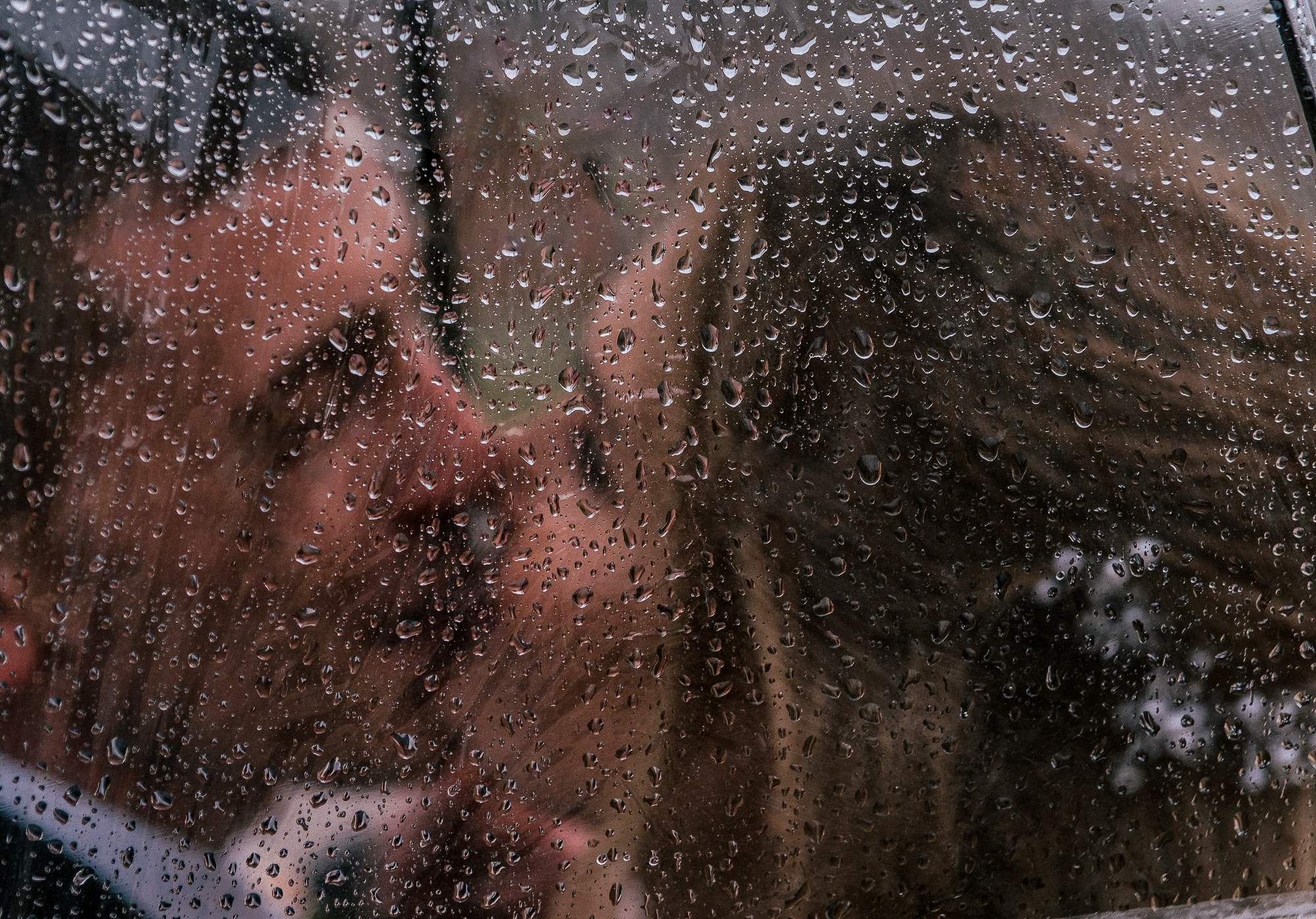 24.09.22. Фотограф в Москве Горбачева Алена