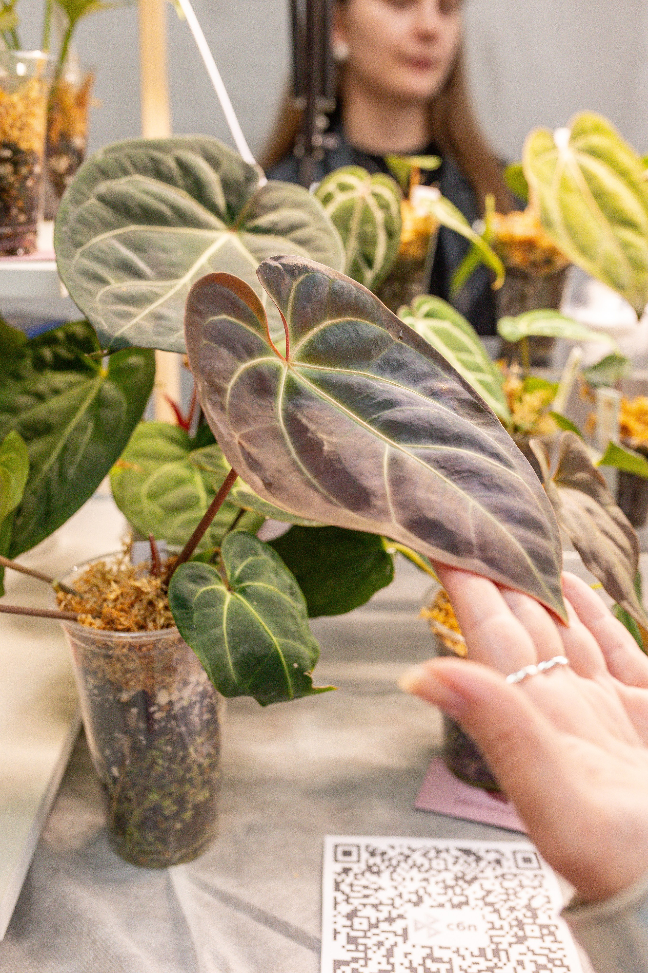 Green rare июнь 2025. Александра Куликова фотограф, Москва