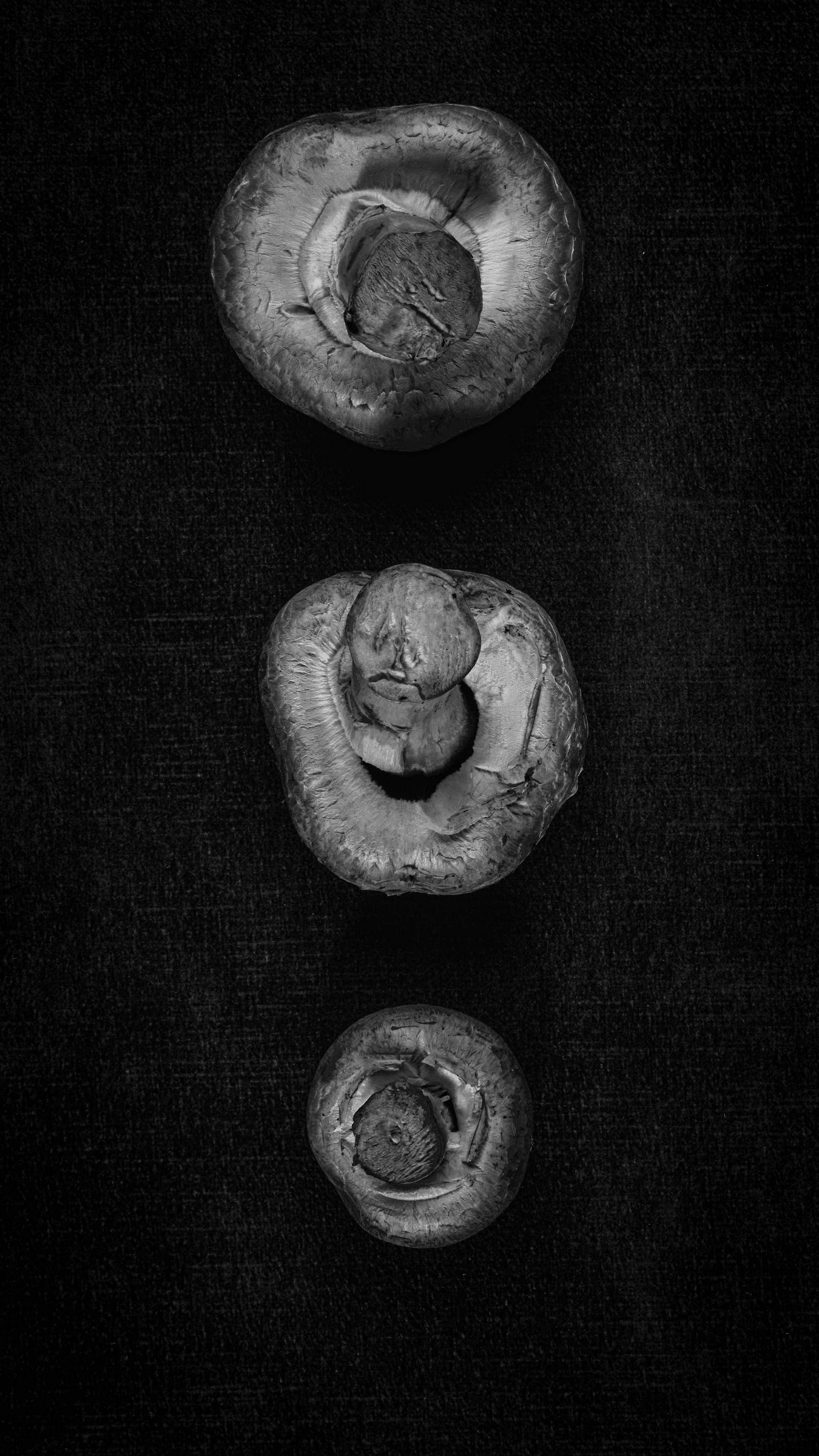 Я  фотограф. Работаю в городе Москва,