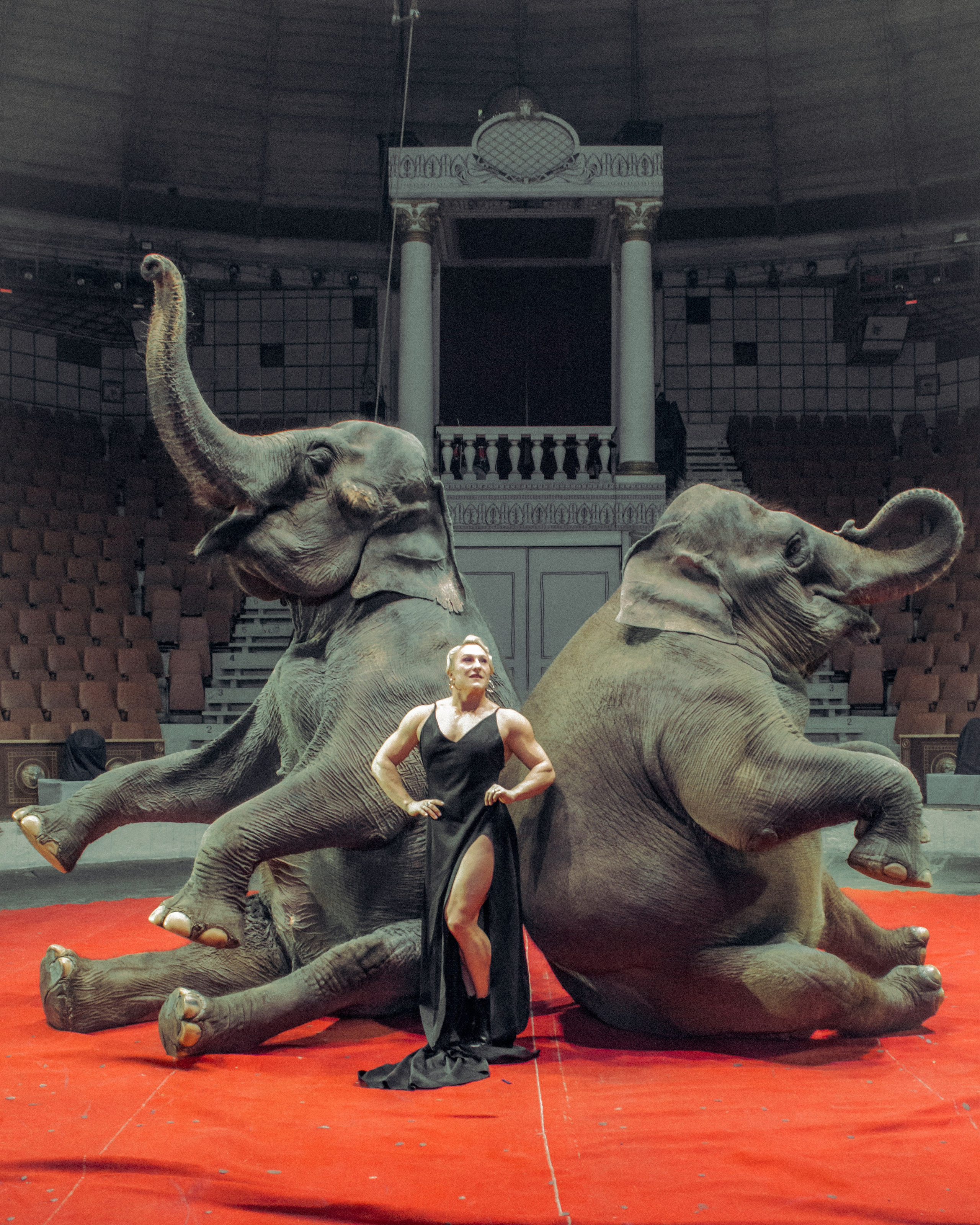 Екатерина. Главная