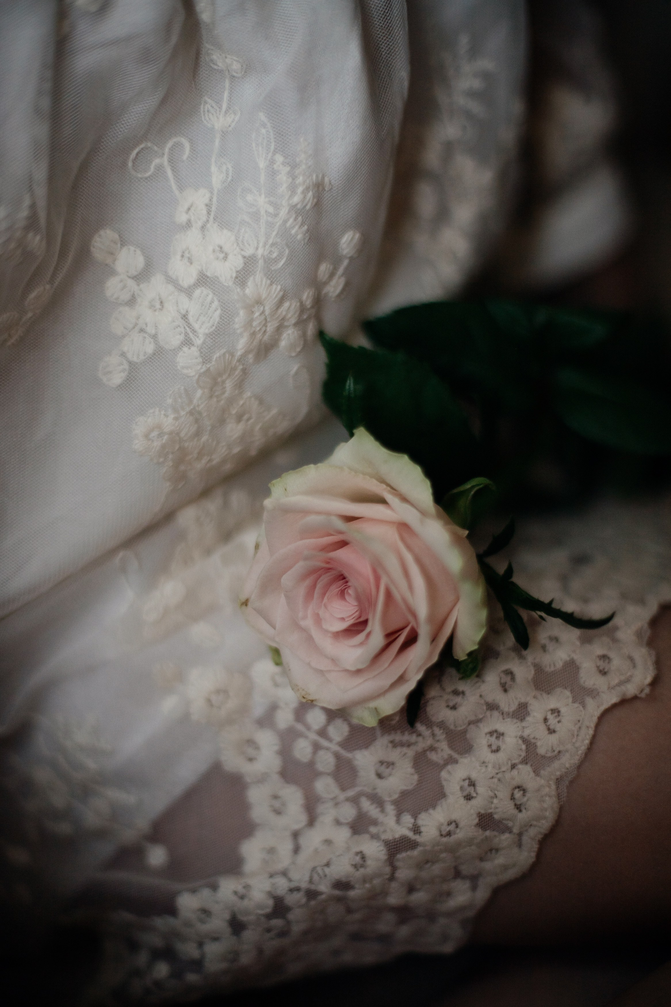 Arina. Family and portrait photographer Helsinki