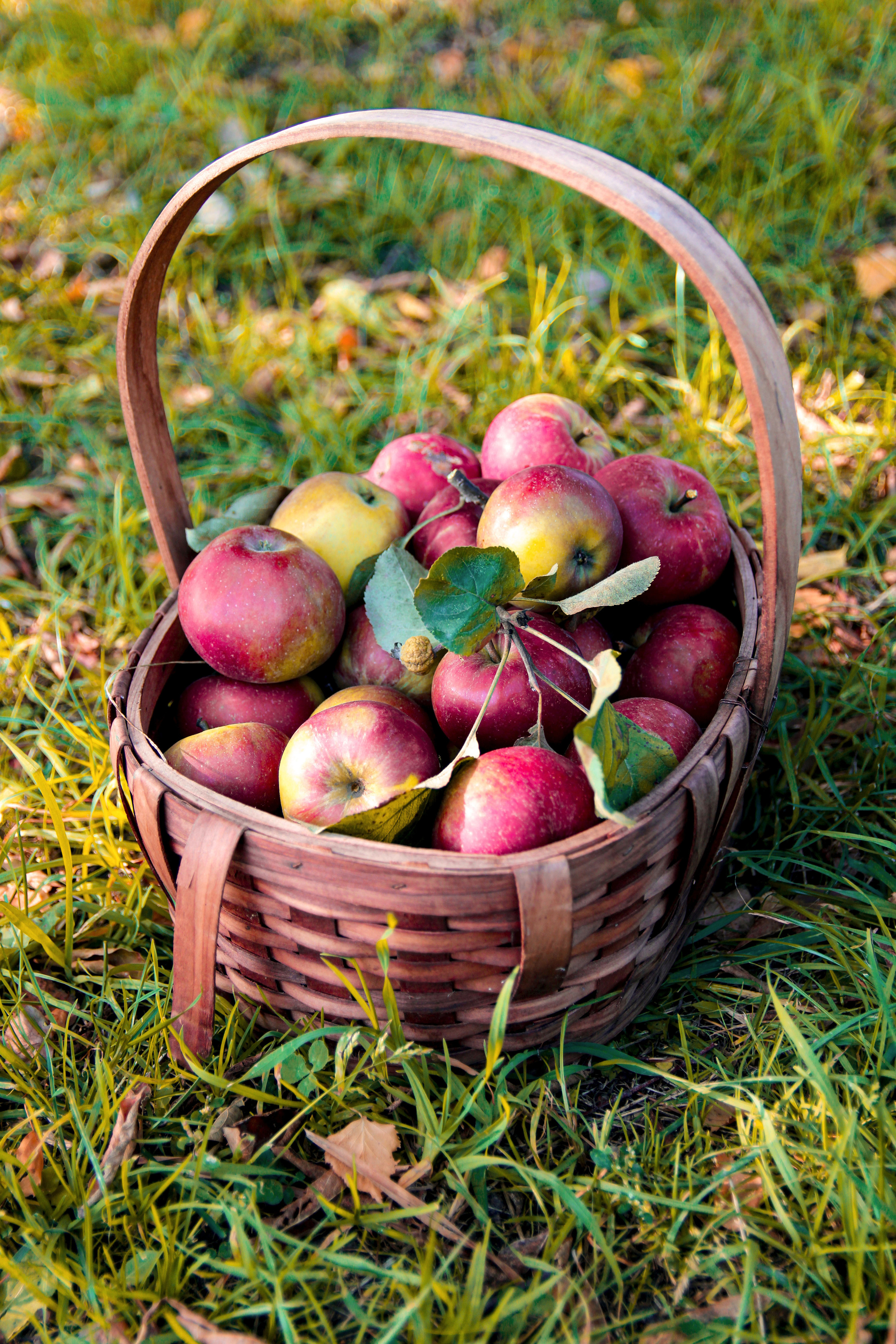 Дарья. Женский и семейный фотограф в Москве Наташа Чаша