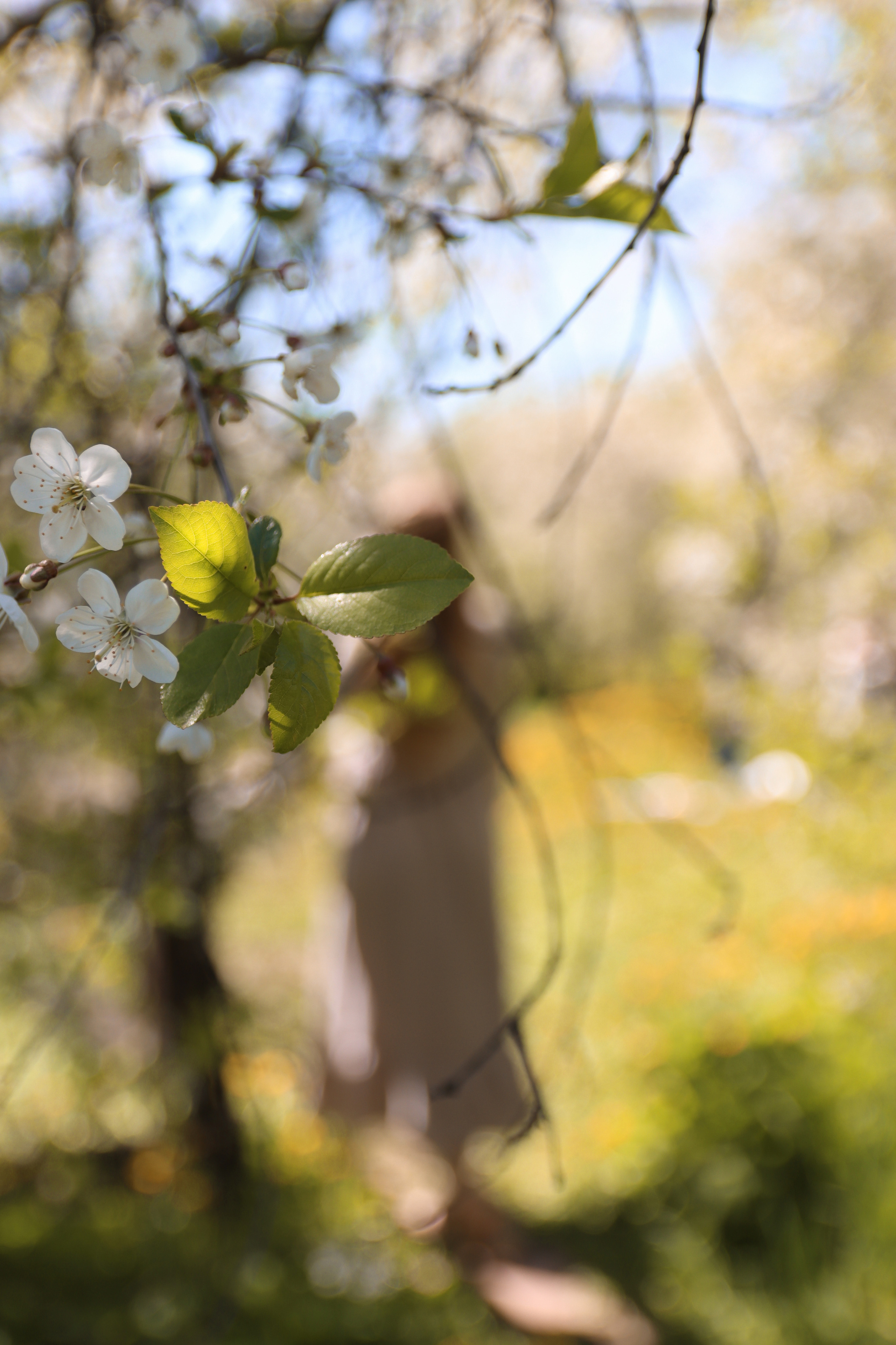 Mila & Victor. Женский и семейный фотограф в Москве Наташа Чаша