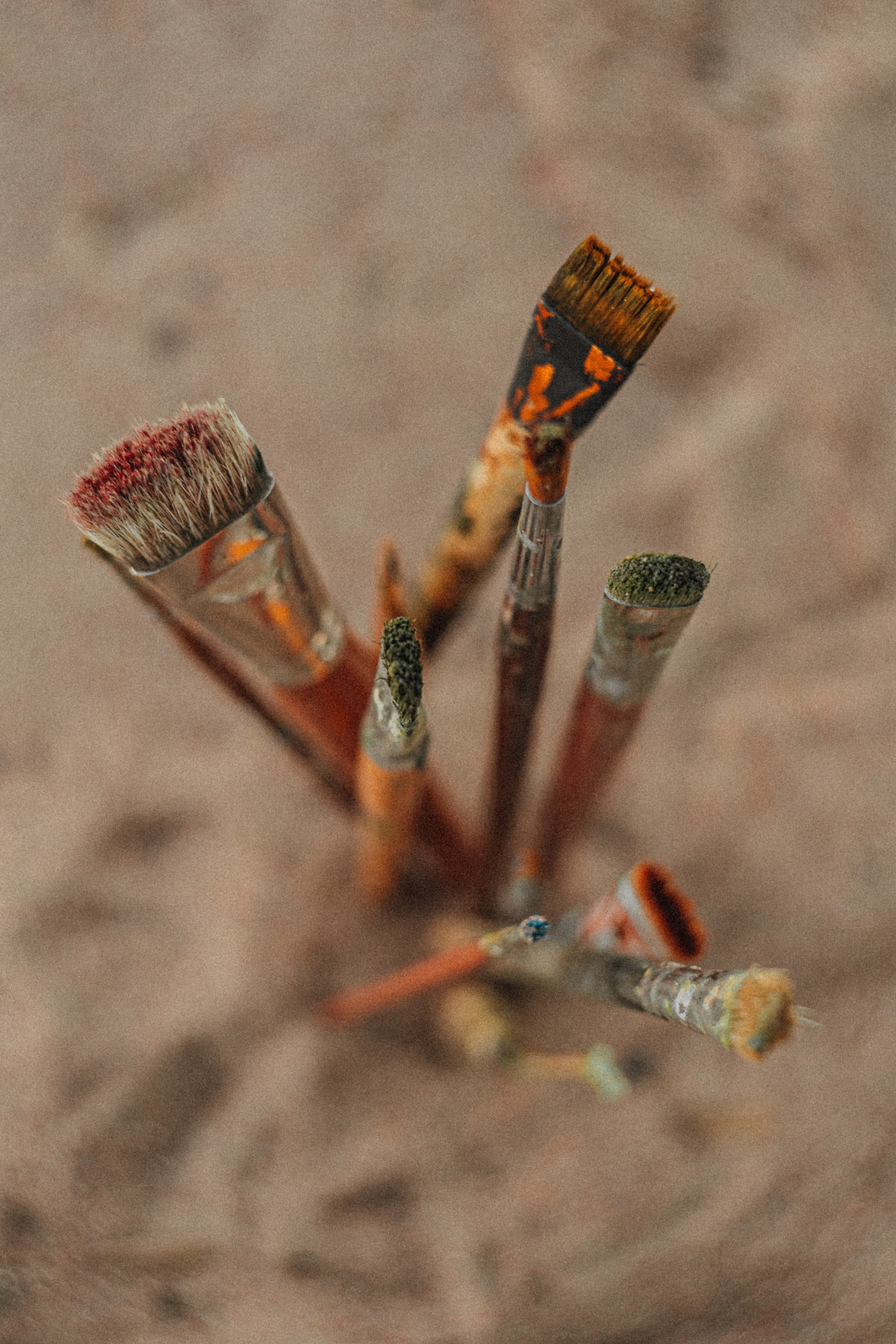 JULIA. Портретный и Семейный фотограф в Санкт-Петербурге Rocket Alice