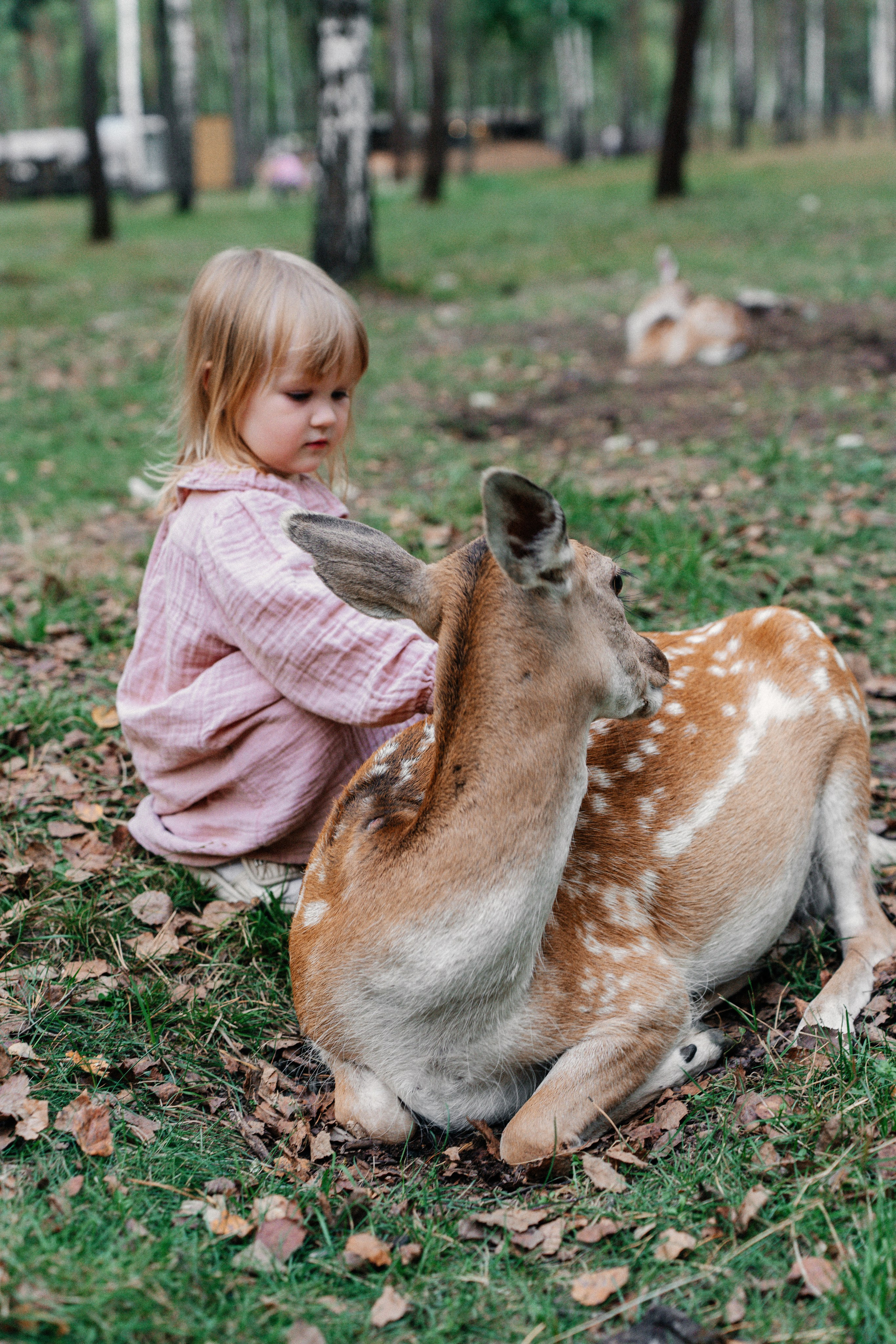 Диприз — в мире диких животных. Ваш семейный фотограф в Минске — Вика Трегубова