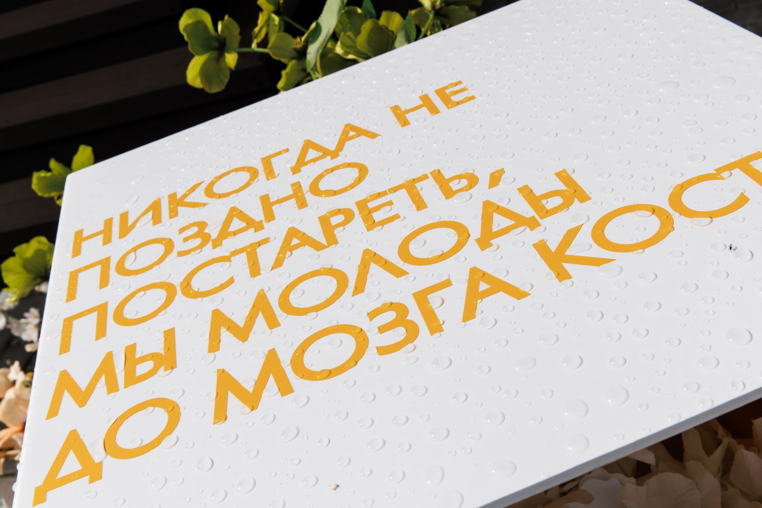 Миша и Алина. Свадебный фотограф Михаил Симонов