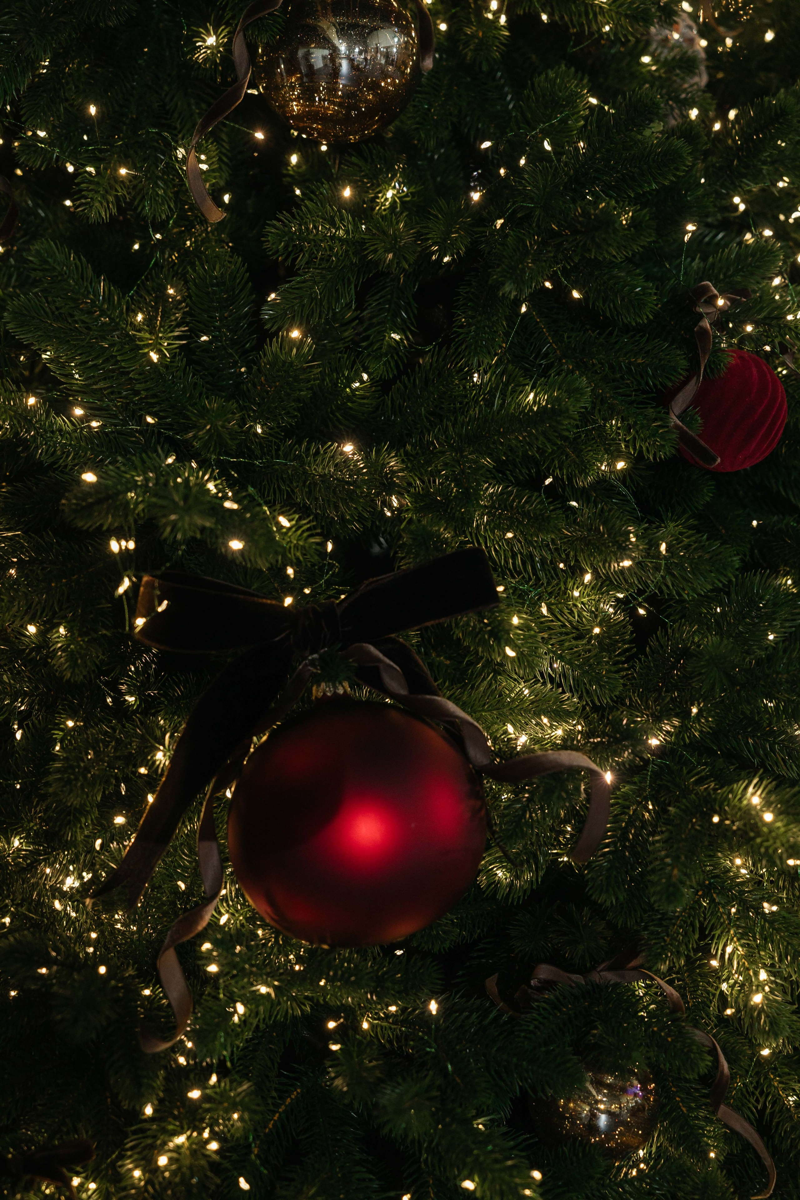 Проект 2. Корпоратив CT AGRO. Дата: декабрь 2023. Профессиональный фотограф в городе Астана/Алматы Даурен Сембаев