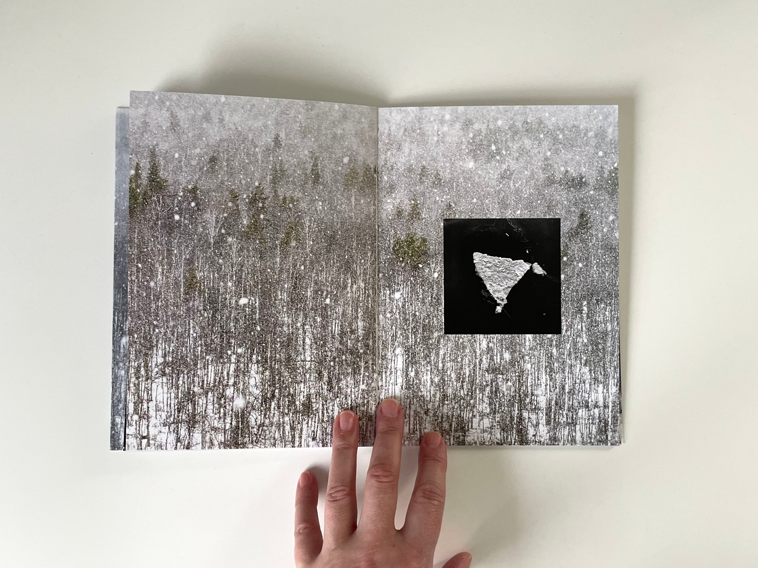 Кто сломал снеговика?. Наталья Орешина документальный и арт-фотограф из Санкт-Петербурга