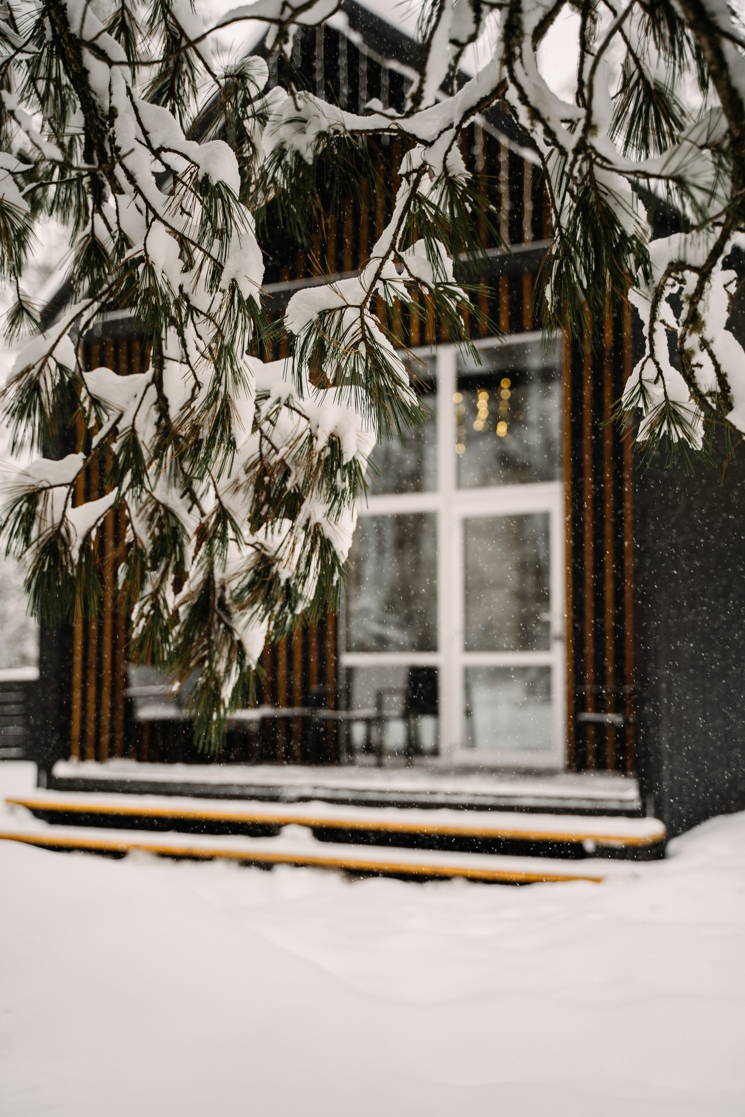 Релекс ТЕЛЕЦКОЕ. Фотограф Ольга Пучкова