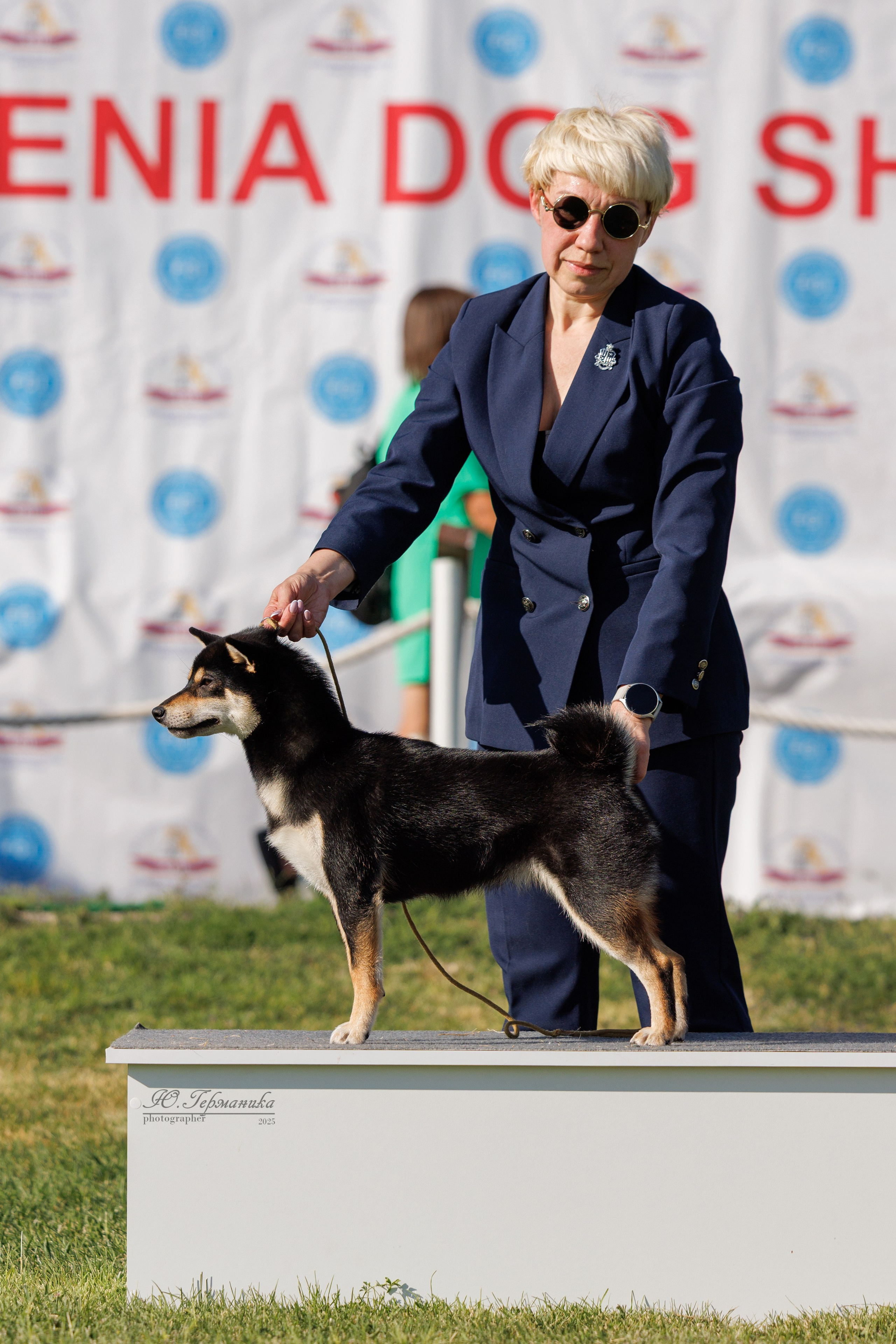Ереван 3хCACIB 23-25.06.2025. Фотограф-анималист Юлия Германика