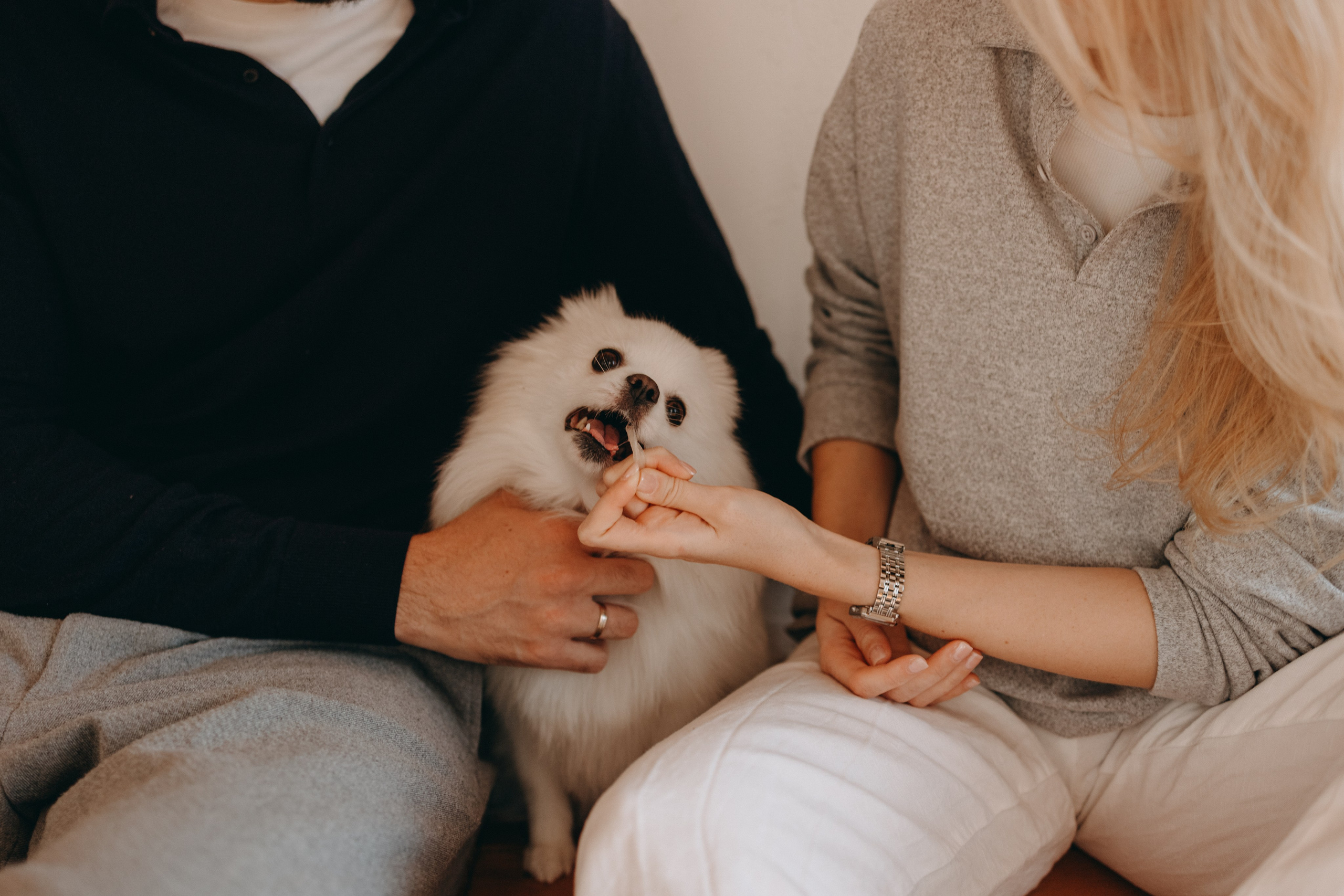 Джесси и ее семья. Фотограф — Анималист | Санкт-Петербург