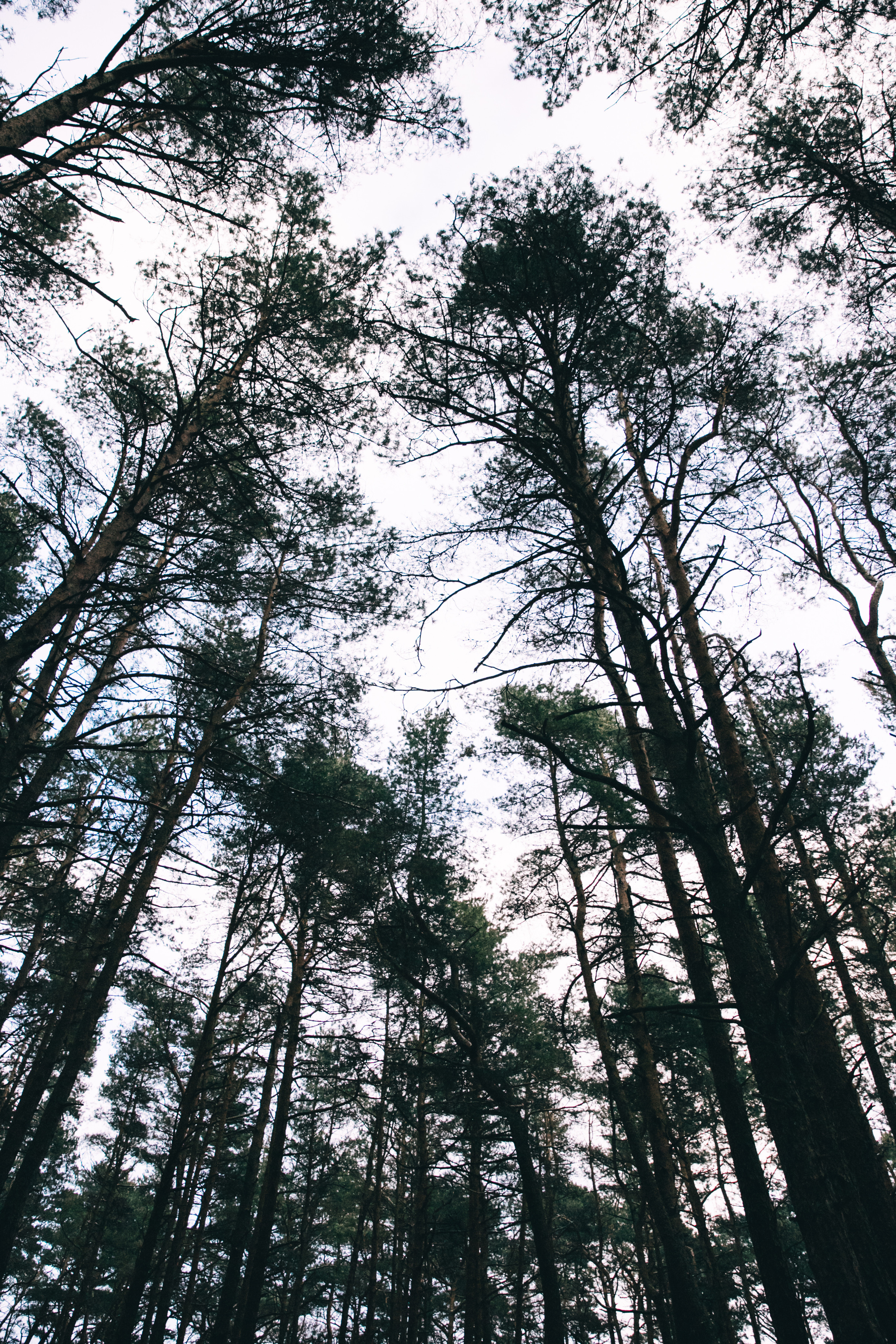 Дмитрий и Наталья. Фотограф и ретушёр Мария Гущина