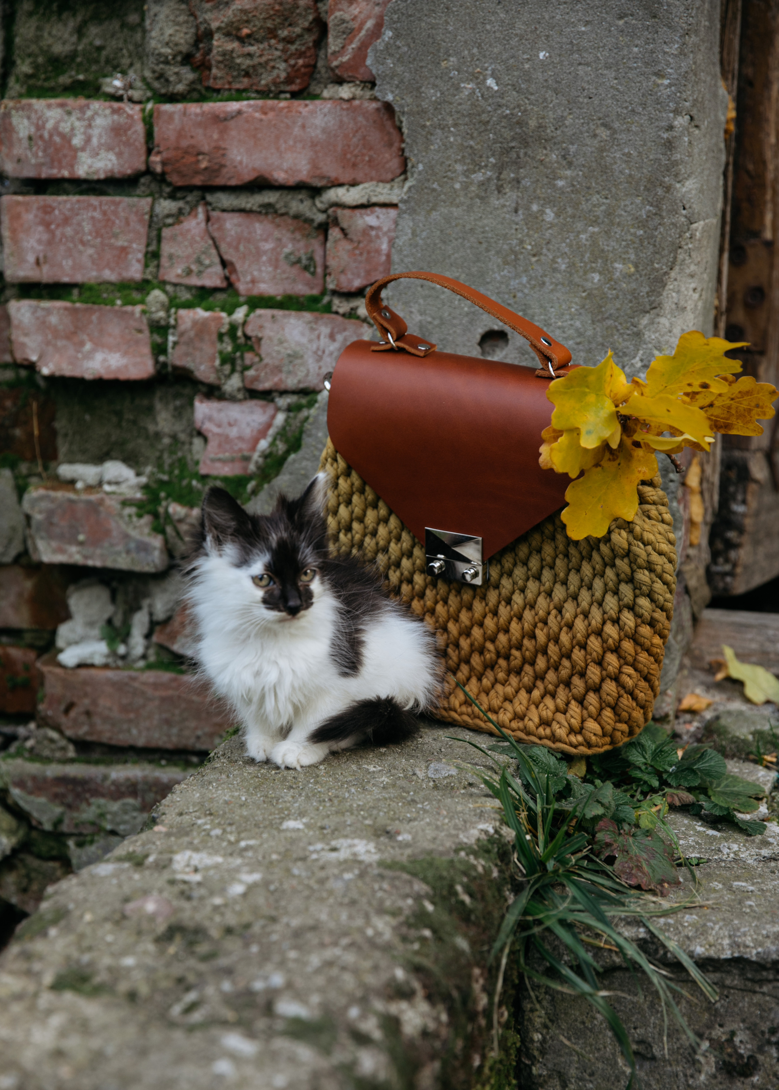 BAGS13. Фотограф и ретушёр Мария Гущина