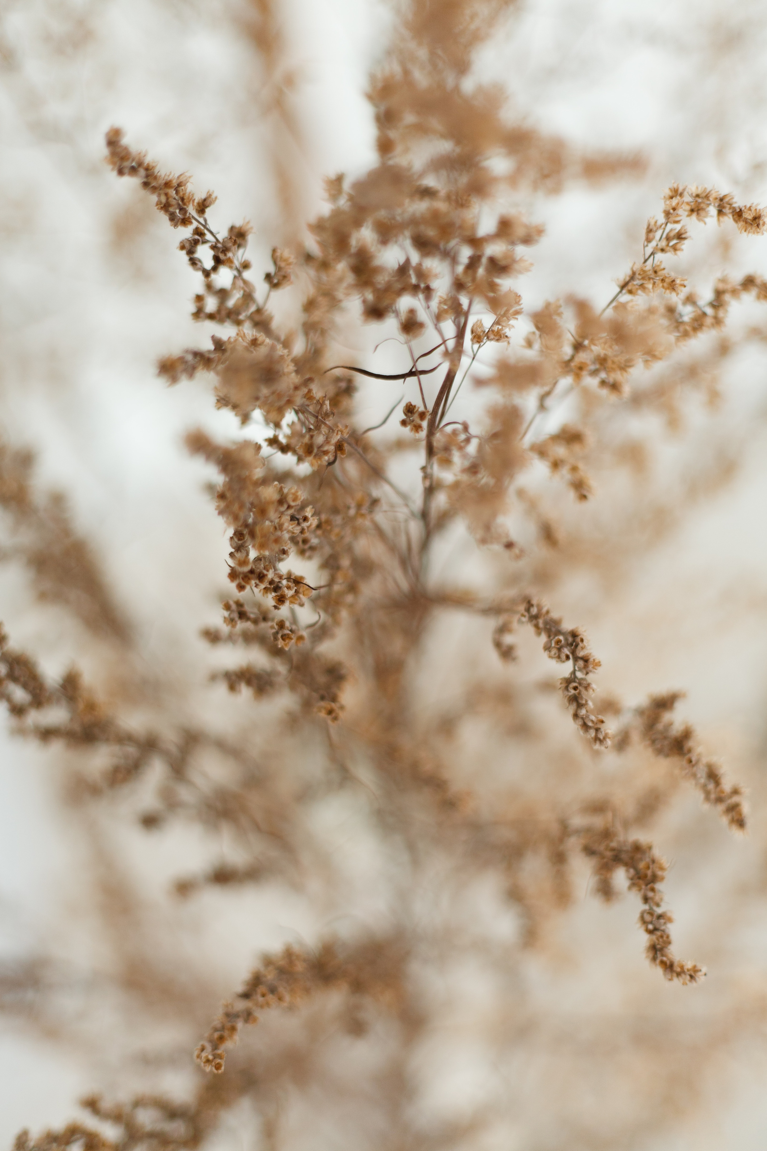 Зимняя Свдьба. Ольга Поспелова — семейный фотограф в Екатеринбурге