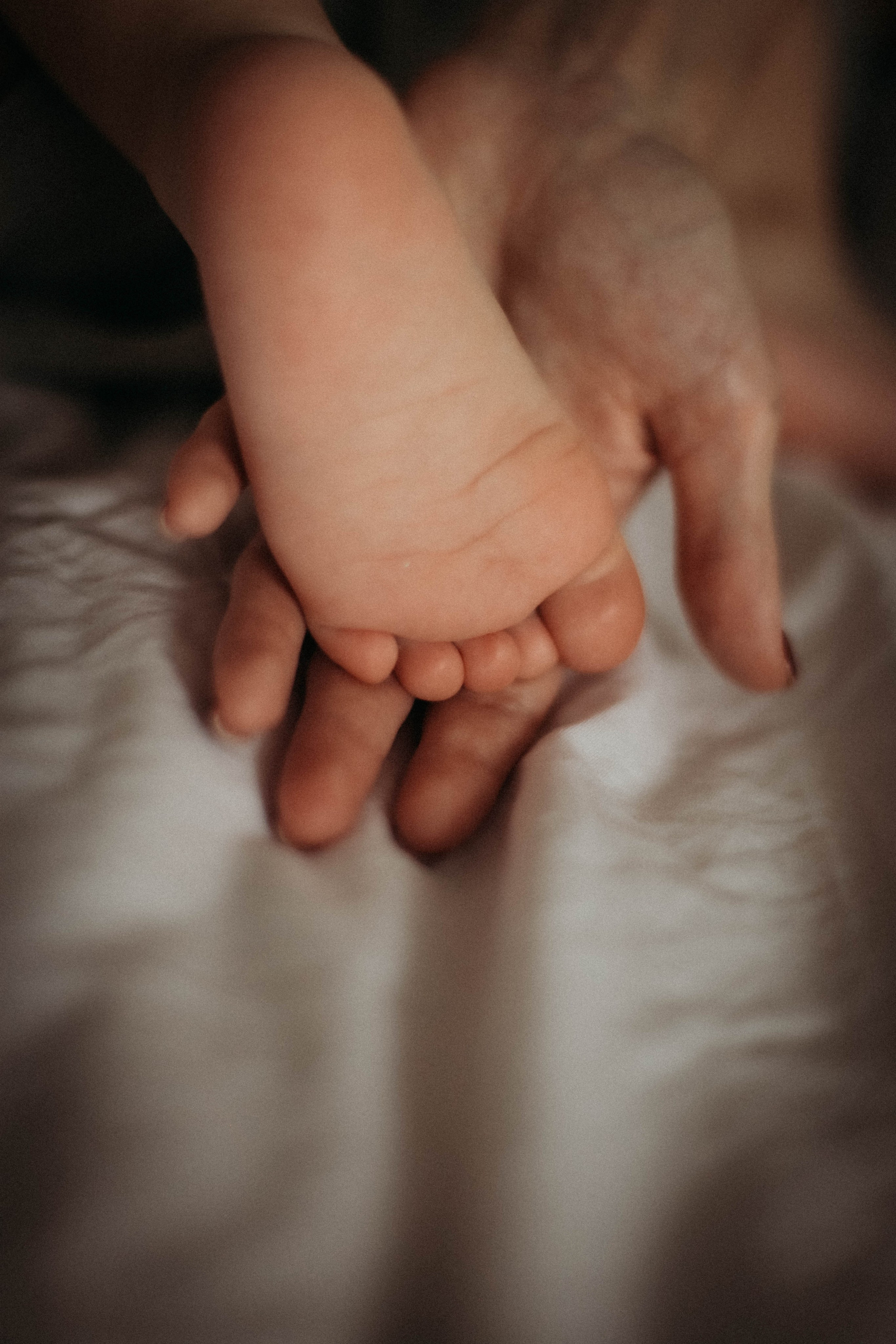 Тимур. Семейная фотография в Санкт-Петербурге Елизавета Шепель