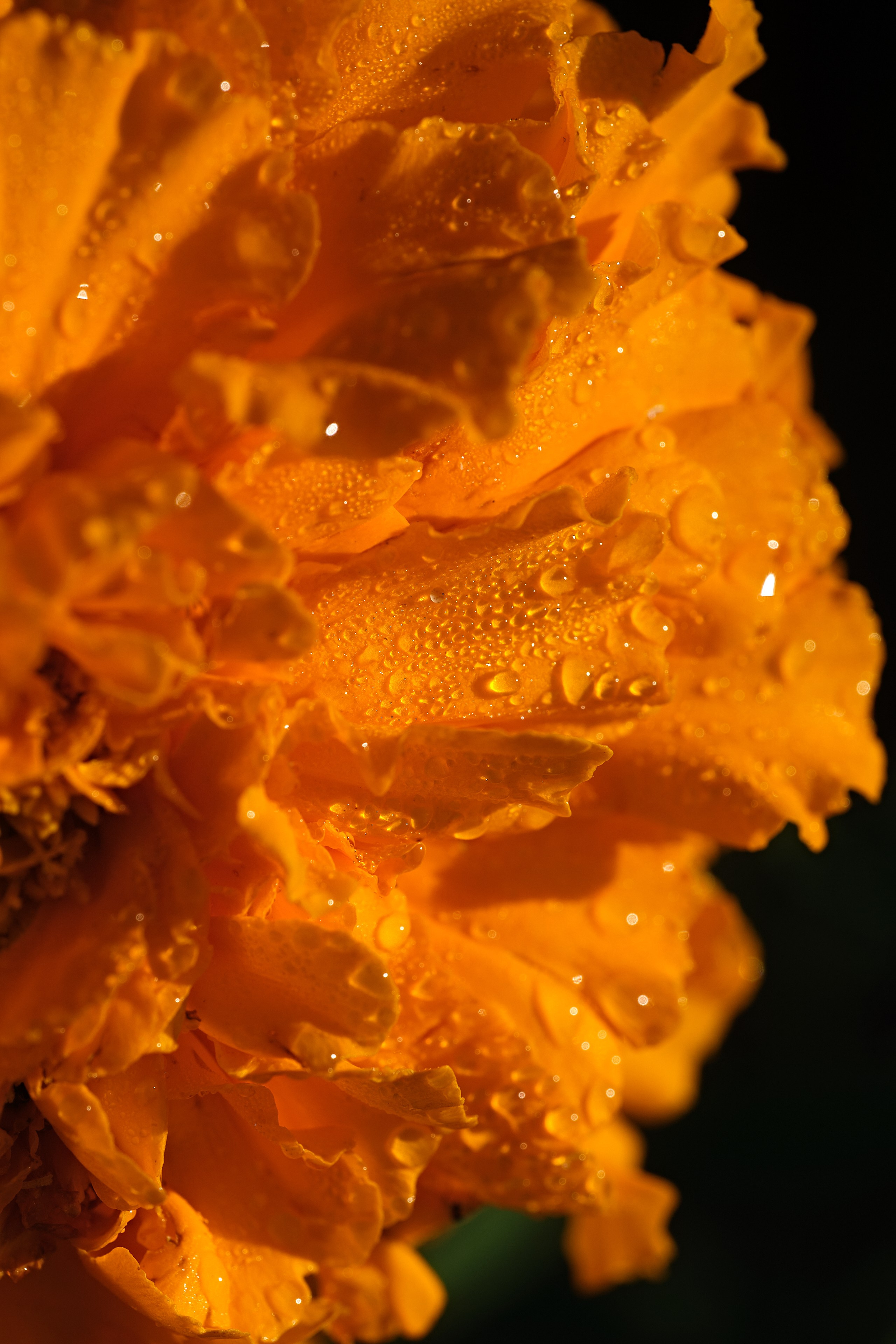 Nature. Рекламная фото и видео съёмка в Екатеринбурге