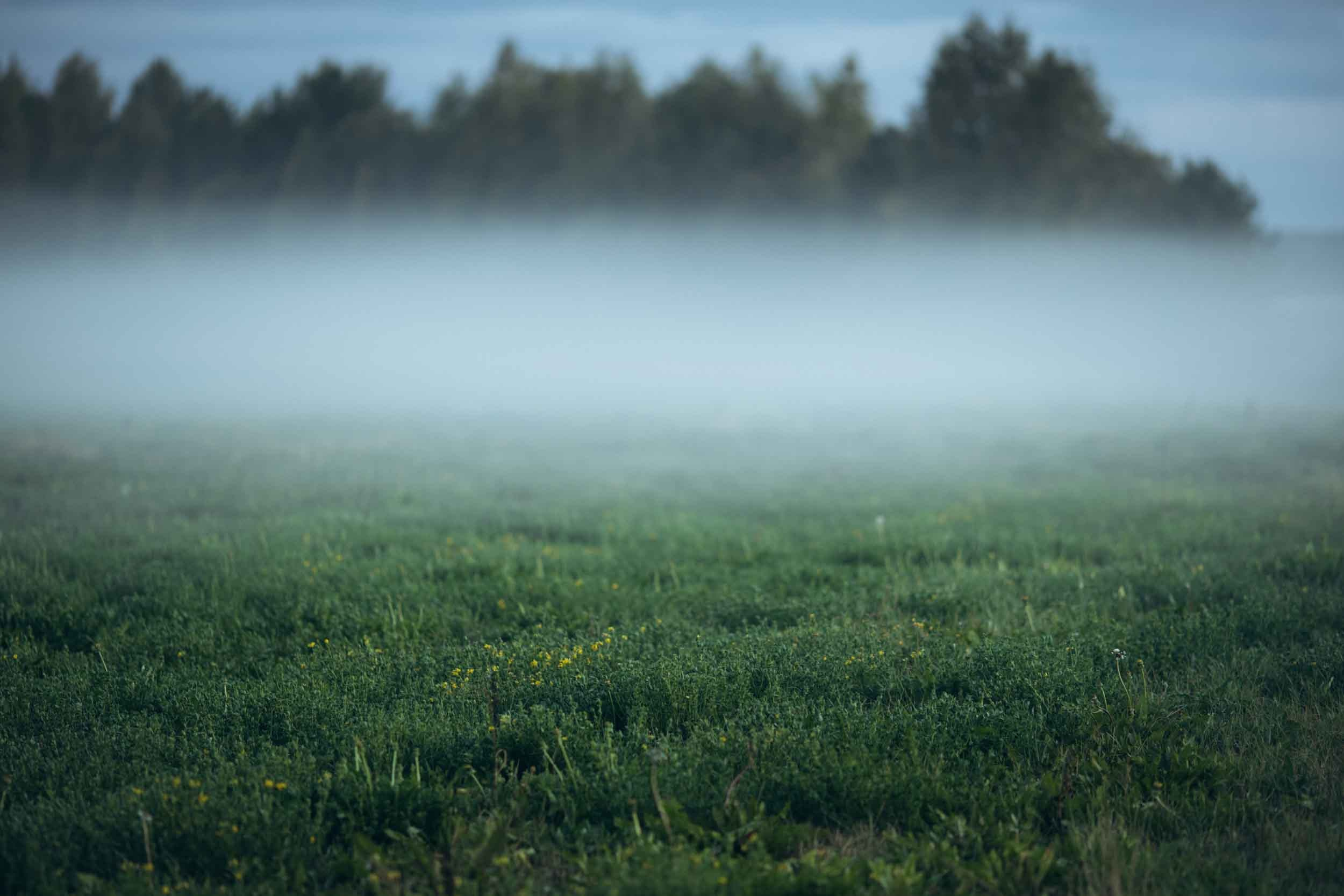 Природные пейзажи. Наталия Клевинскас портретный фотограф в Костроме