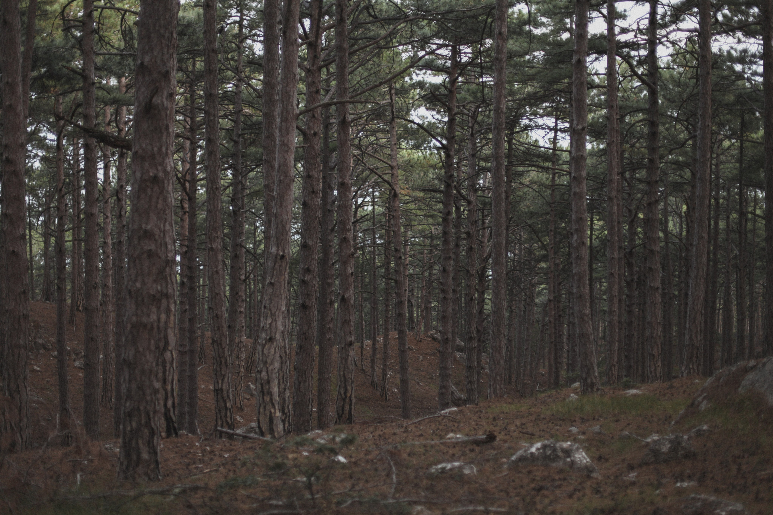 Александр и Анна. Фотограф в Севастополе и Крыму Артем Волобуев