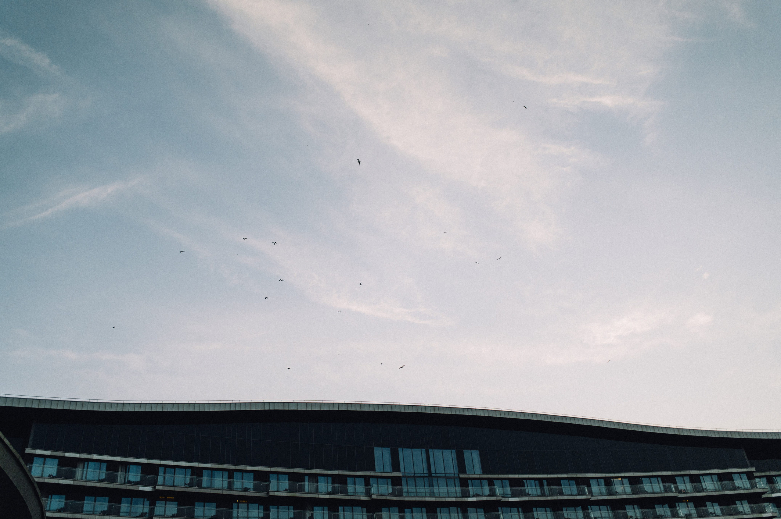 Анна и Макс. Профессиональный фотограф Алексей Васенцев. Минск, СПБ, Москва