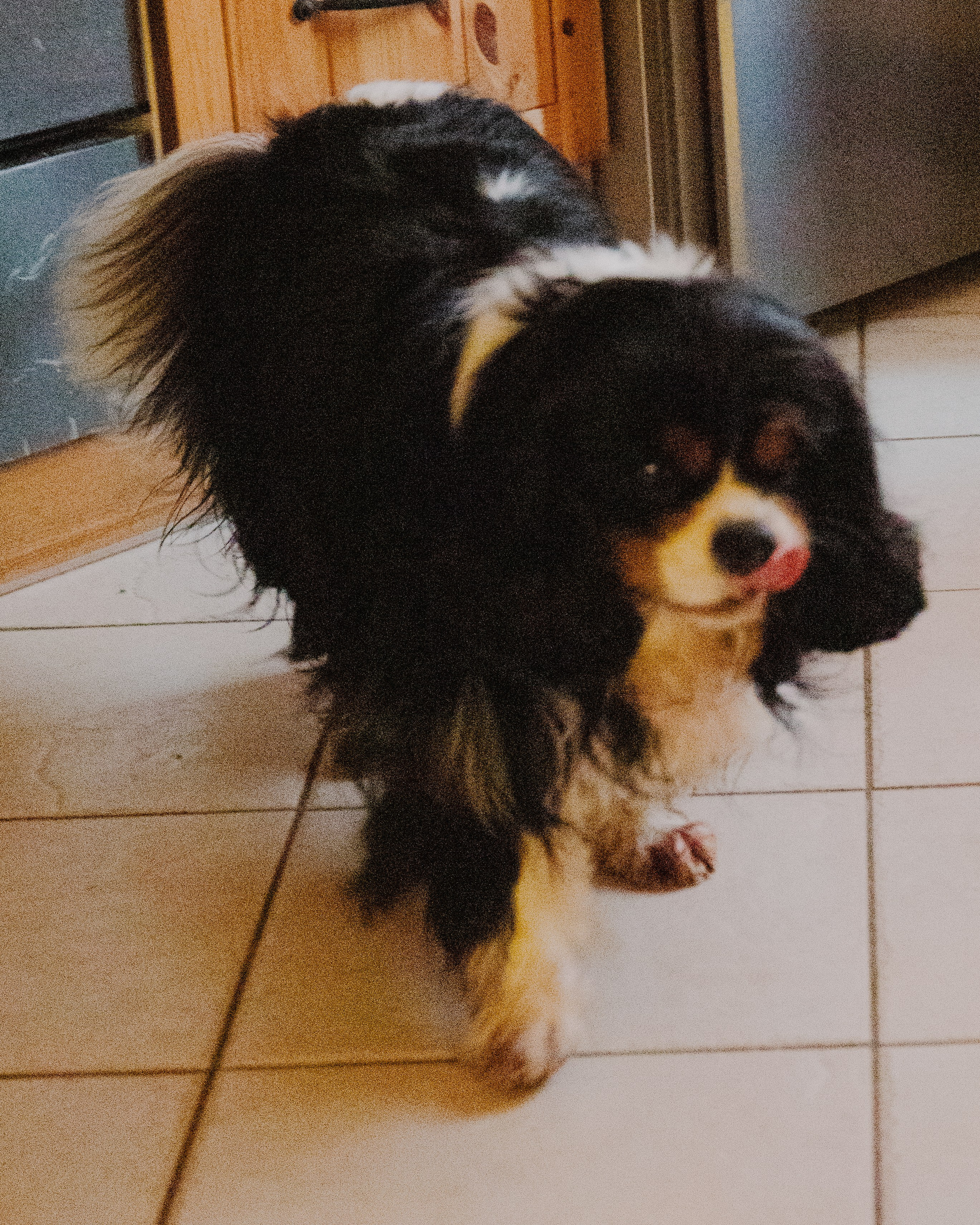 Гилдин. Портретный фотограф Ванинен Анастасия. Санкт-Петербург