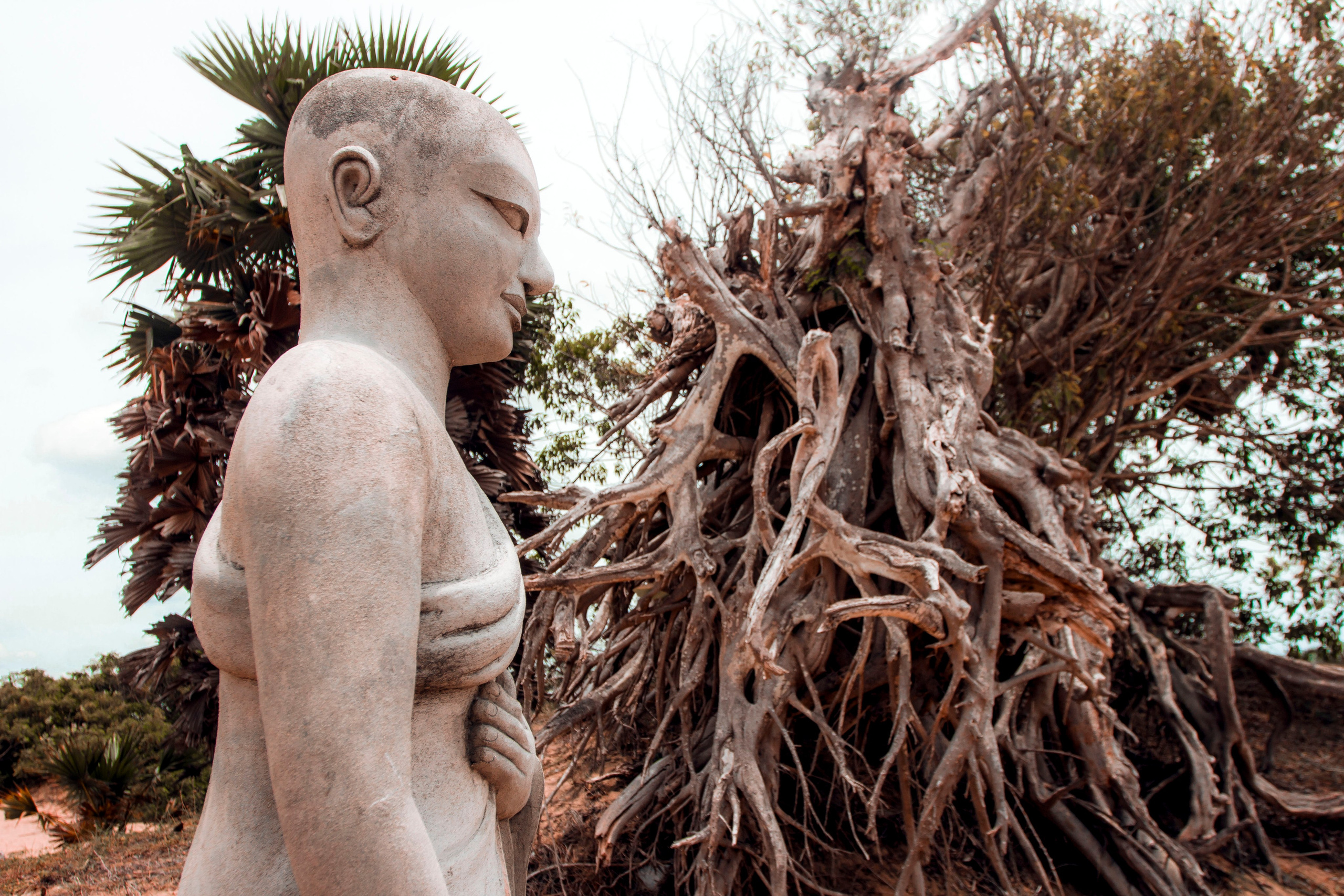 Sri Lanka. Art Photographer