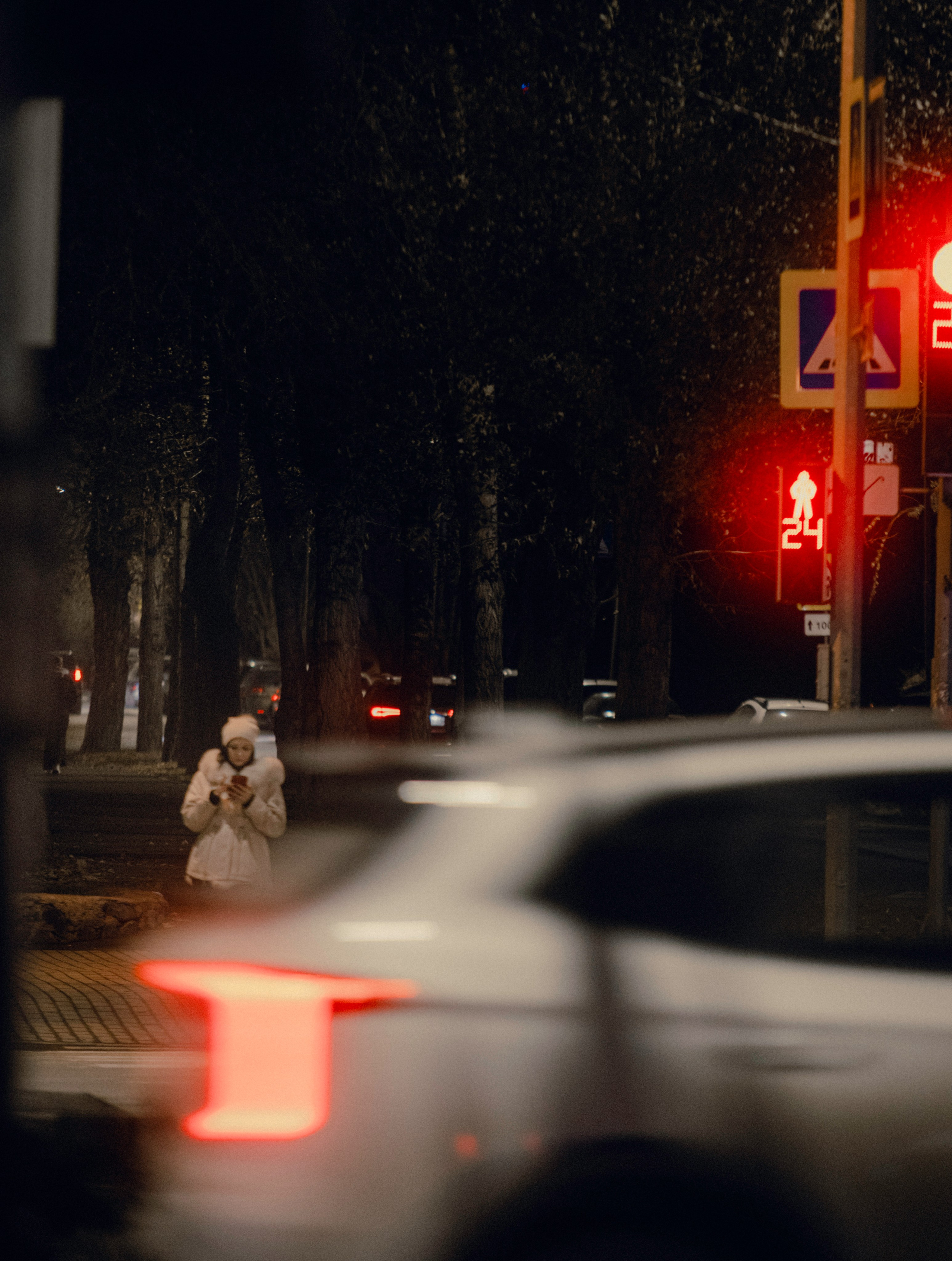 StreetPhoto. Foto-petrovsky.ru