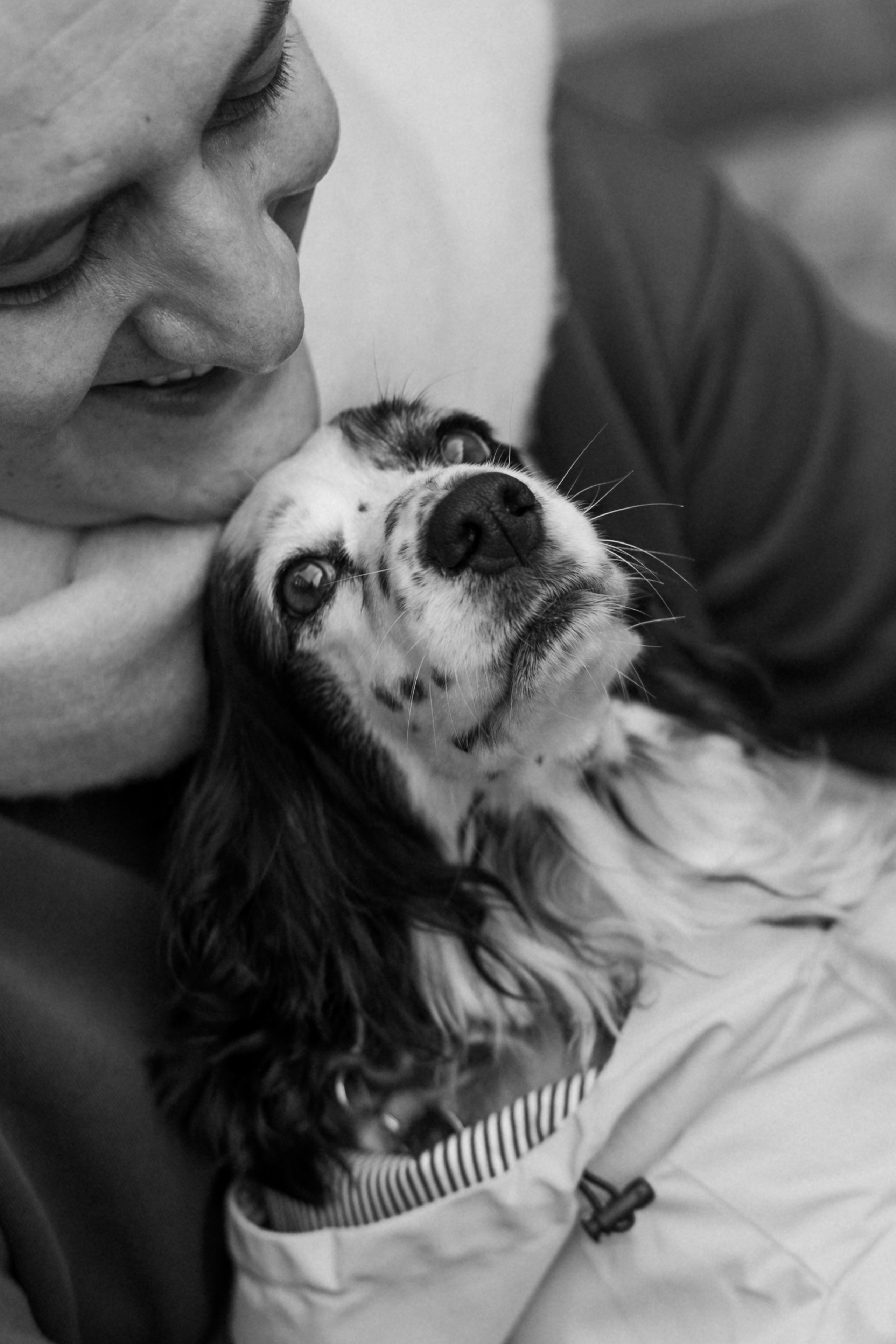 Дмитрий/Елена и Николас. Фотограф в Санкт-Петербурге — Лучина Екатерина