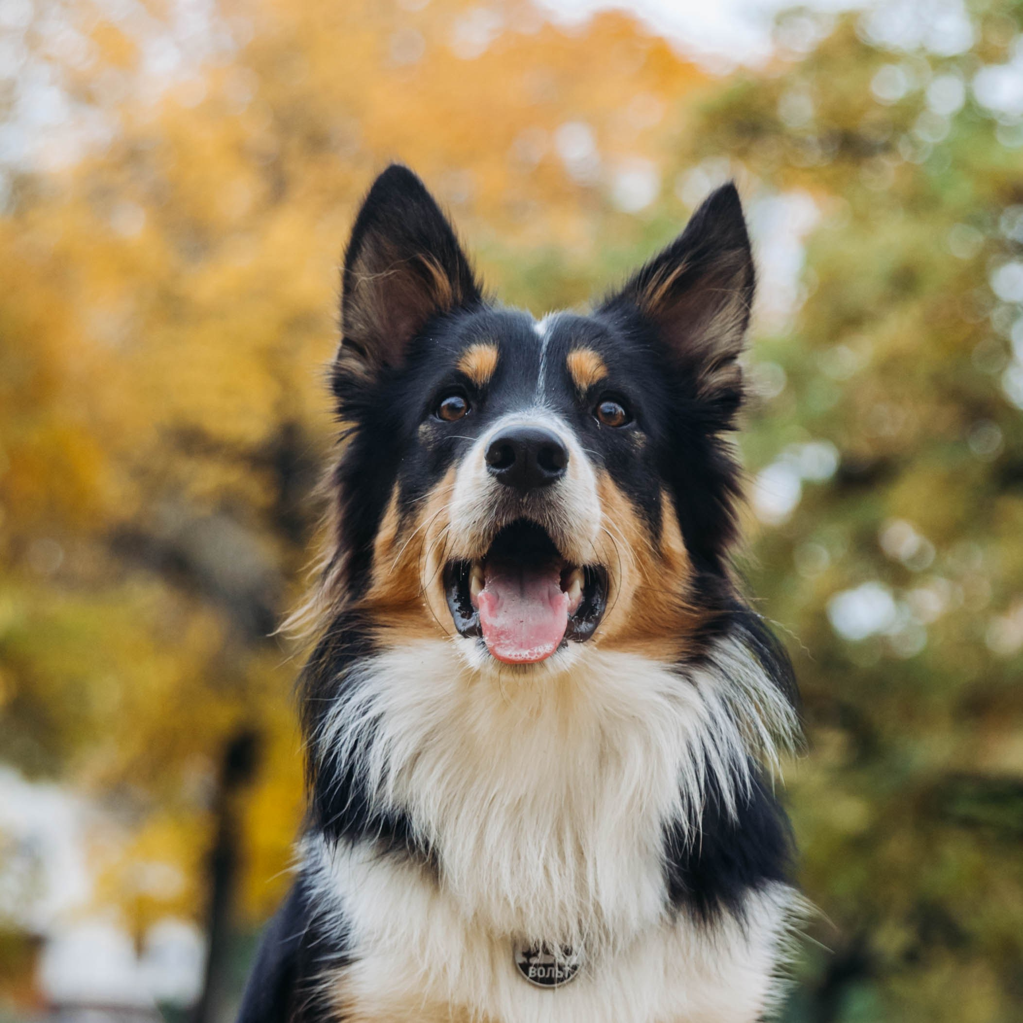 Вольт. Свадебный и семейный фотограф в Санкт-Петербурге Лолита Евстифеева