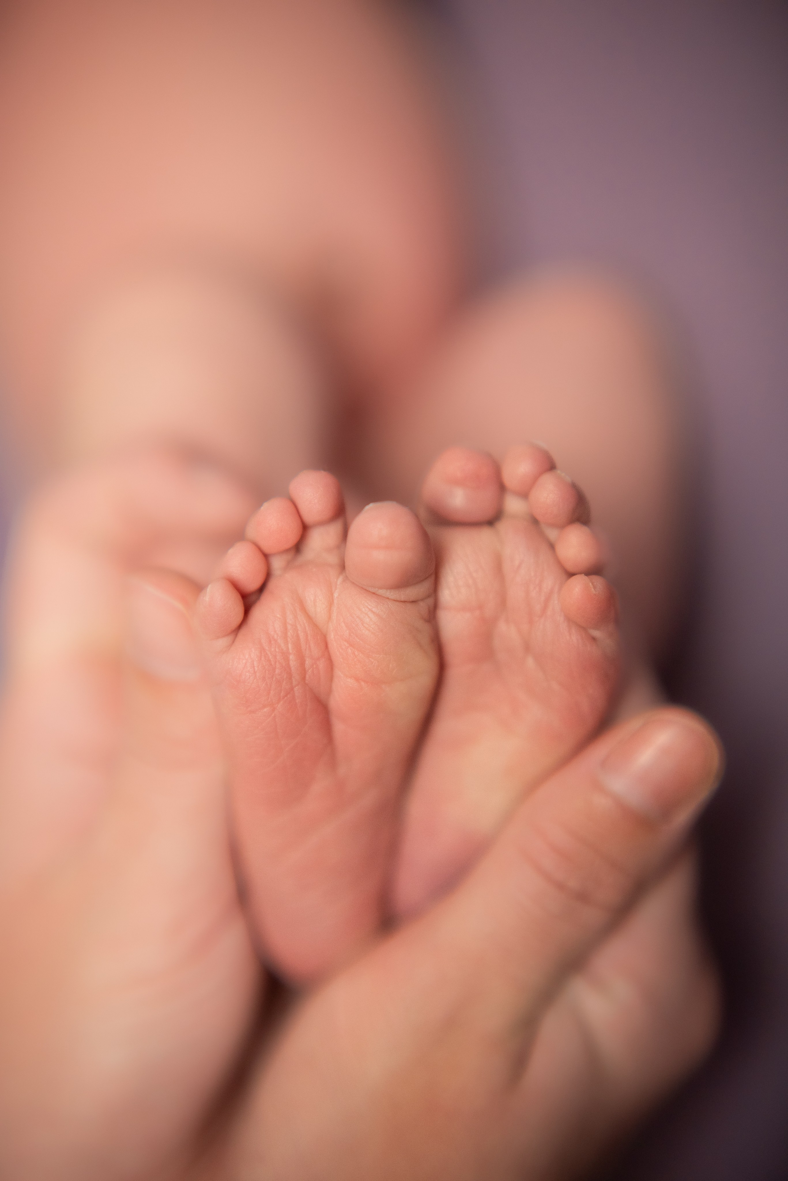 ✨. Профессиональный фотограф новорожденных Тверь