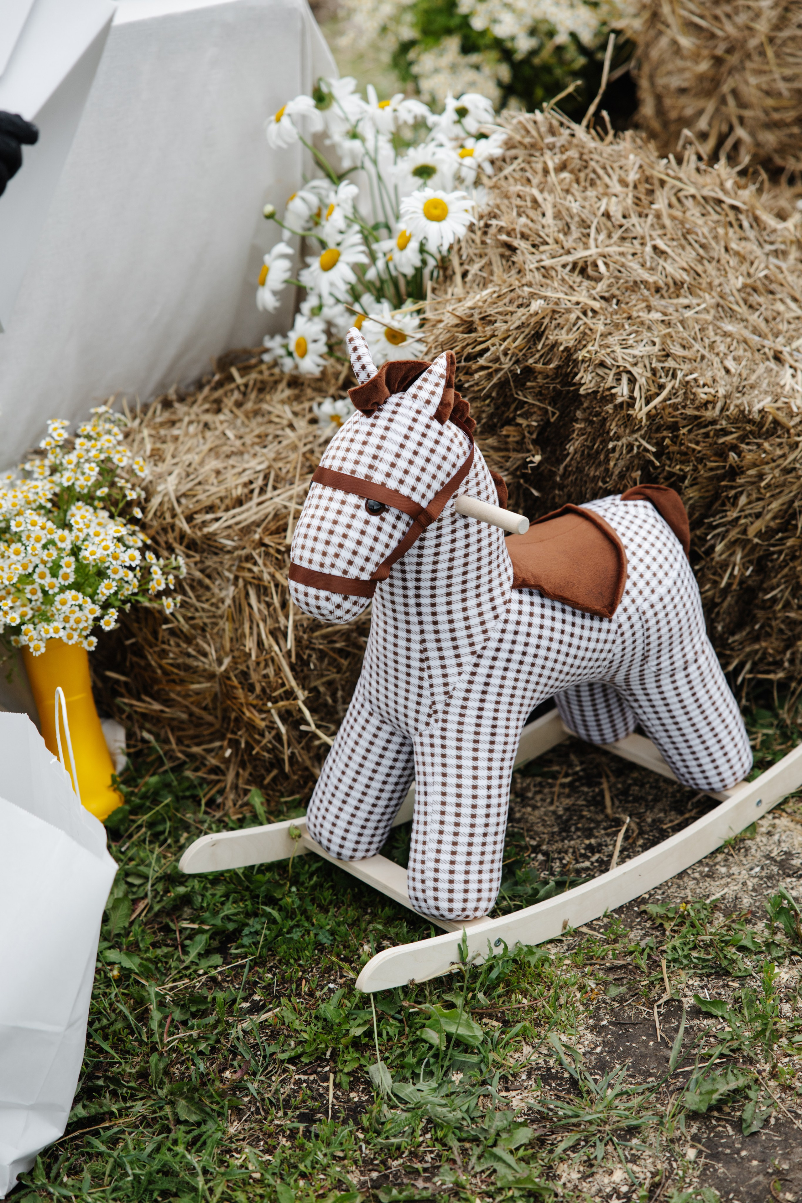 ГЕНДЕР ПАТИ. Фотограф в Красноярске