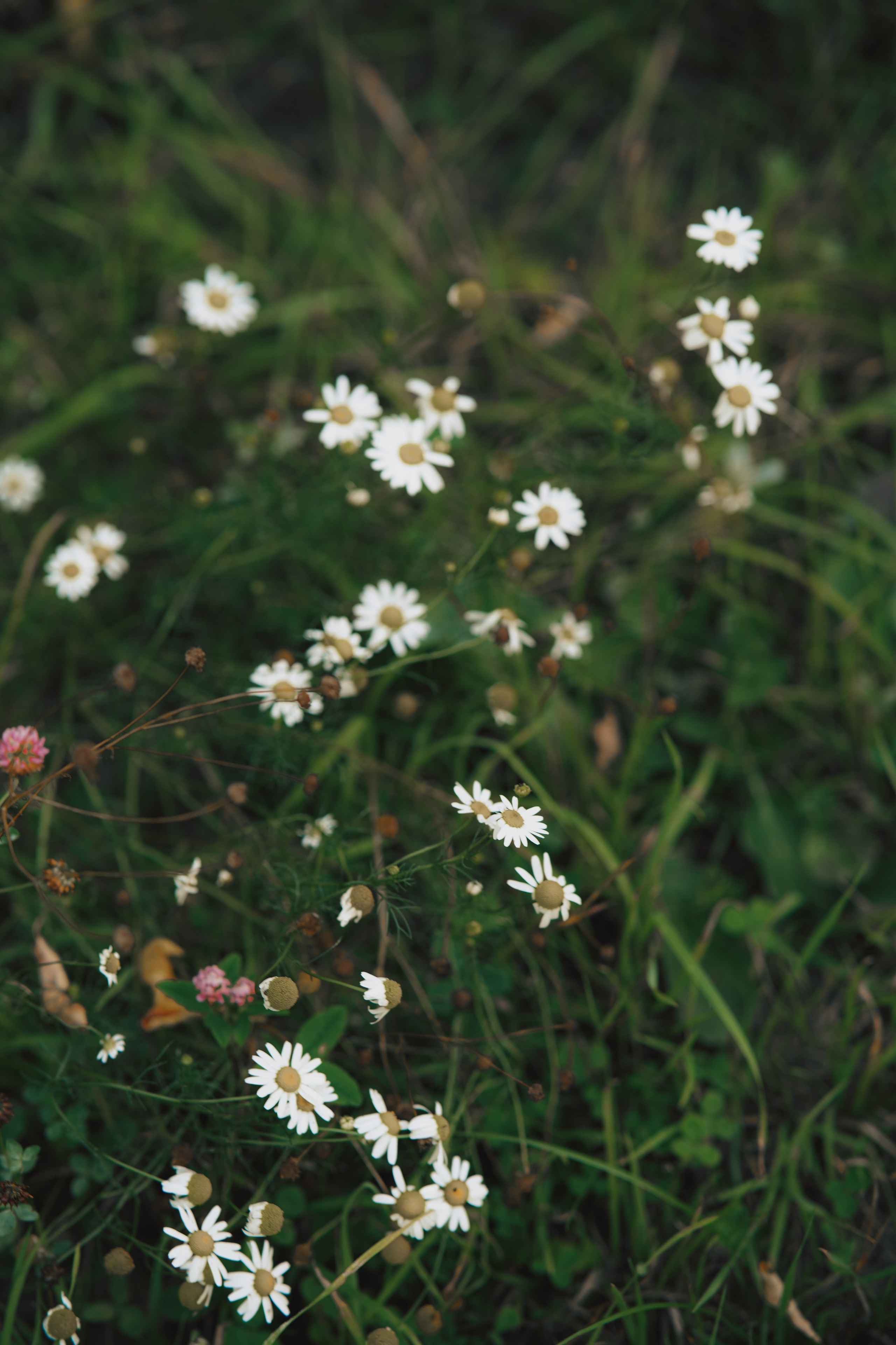 У дома. Фотограф Мария Зайчик